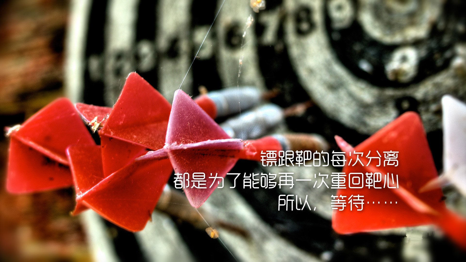 小清新,静物写真,励志,1月28日,儿童桌面专用