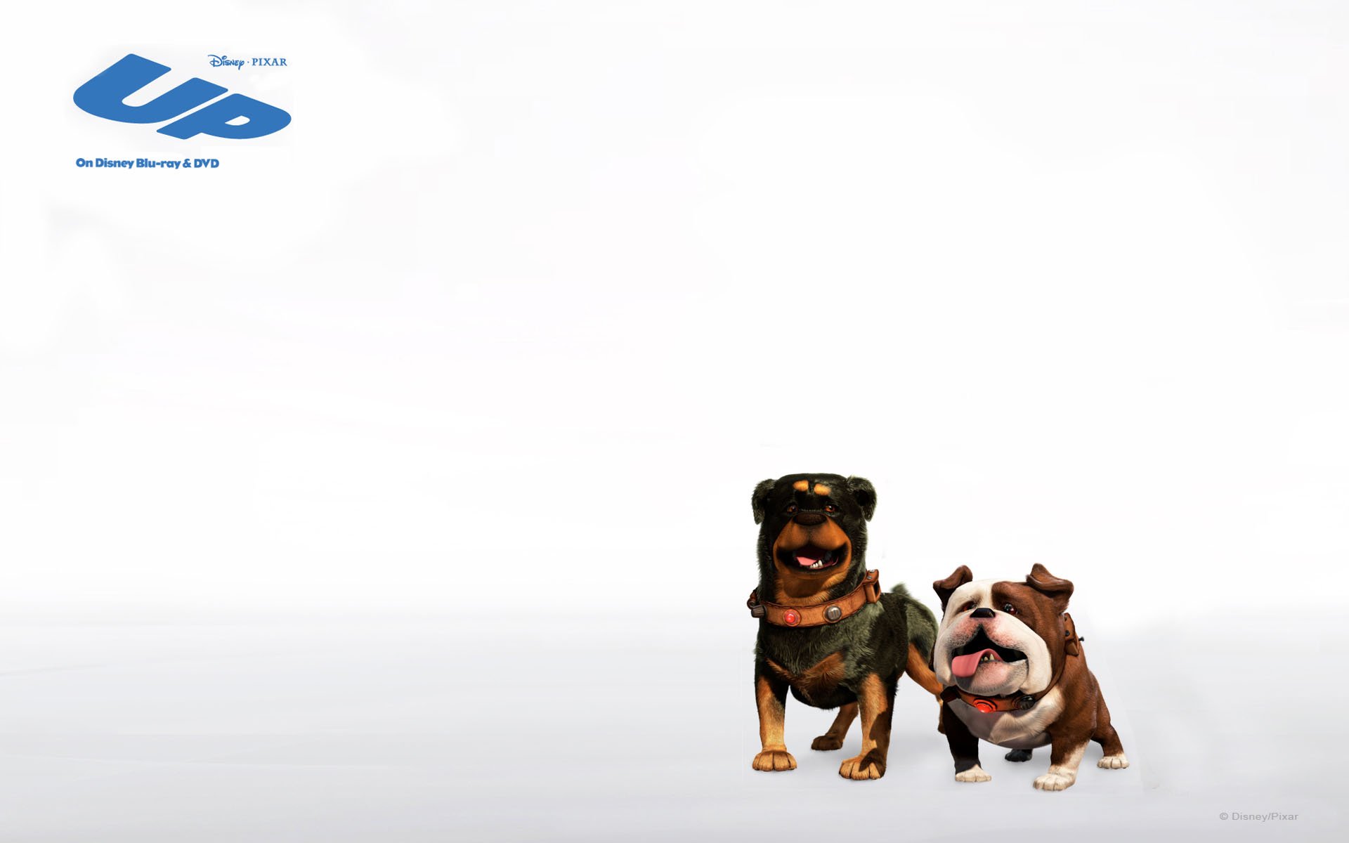 影视,飞屋环游记,一月十一日