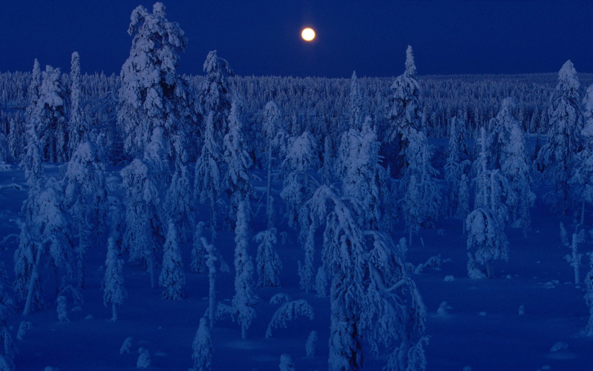开阔,风景,阳光,大气,旅游,风光,自然风光,儿童桌面专用