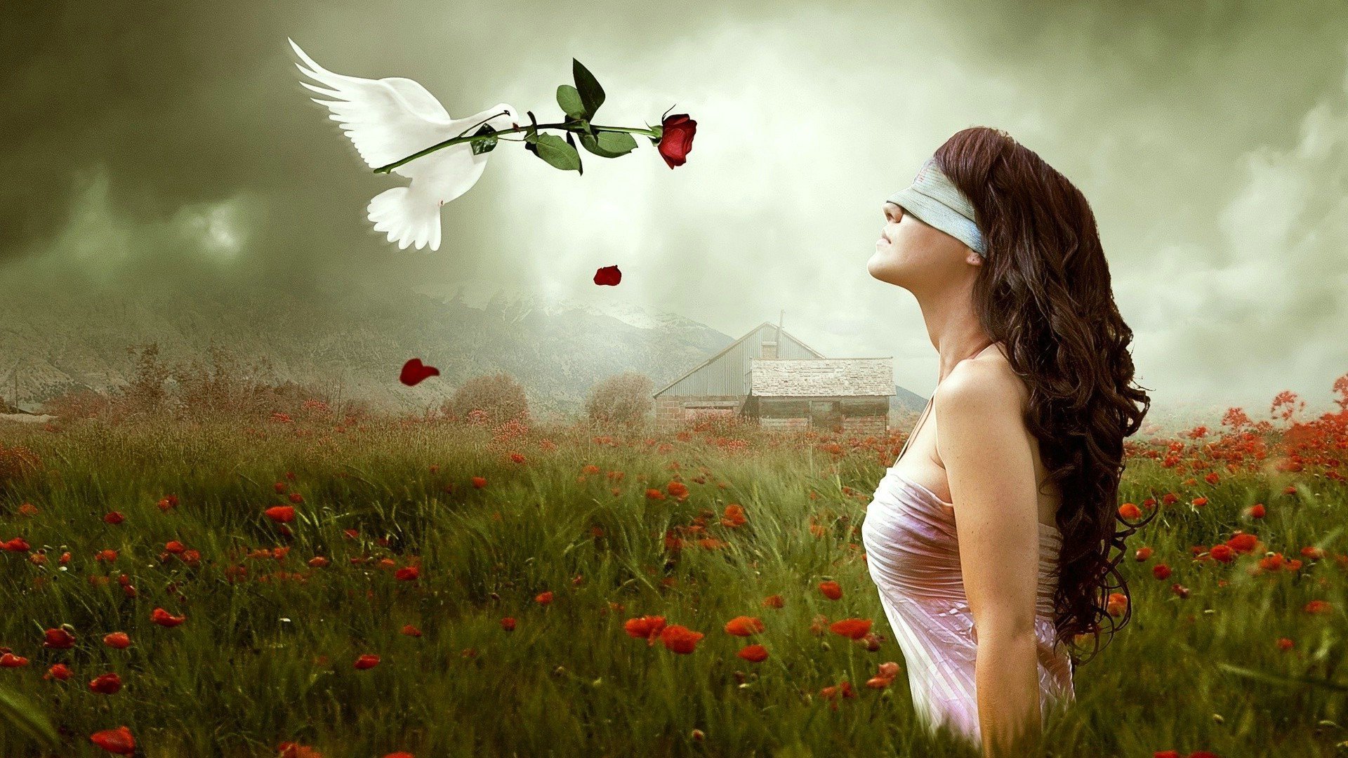 爱情美图,唯美温馨,玫瑰,幸福