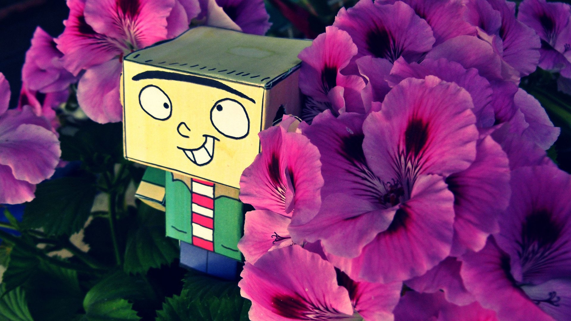 小清新,温馨一刻,1月16日,儿童桌面专用