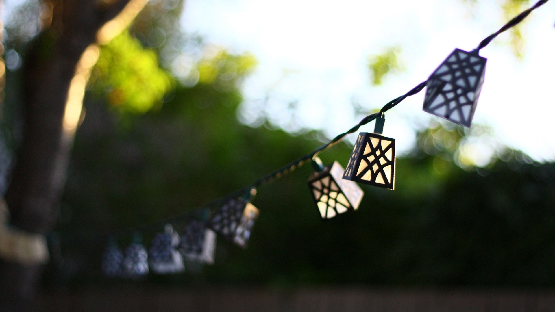 小清新,静物写真,1月21日,儿童桌面专用