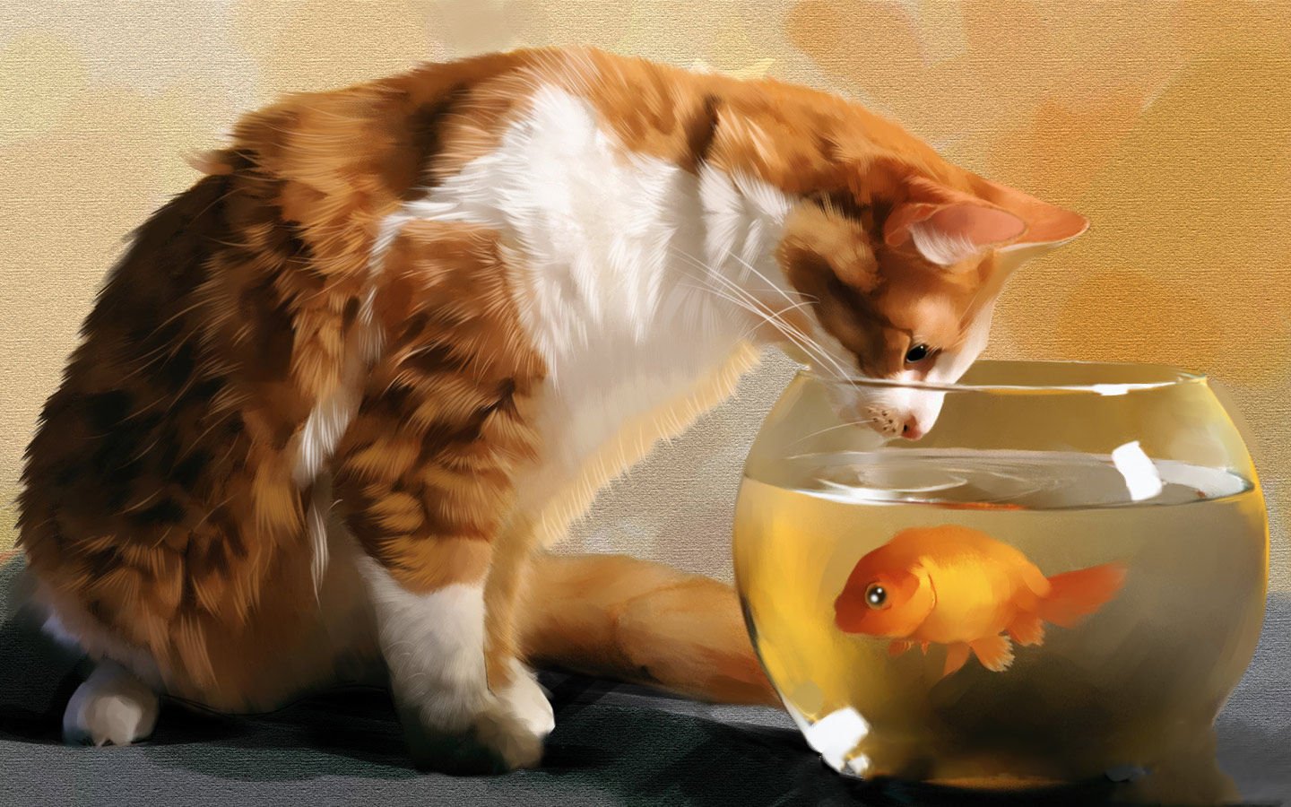 萌宠,喵星人,可爱,宠物,卖萌,搞笑图,憨态百出,猫,儿童桌面专用