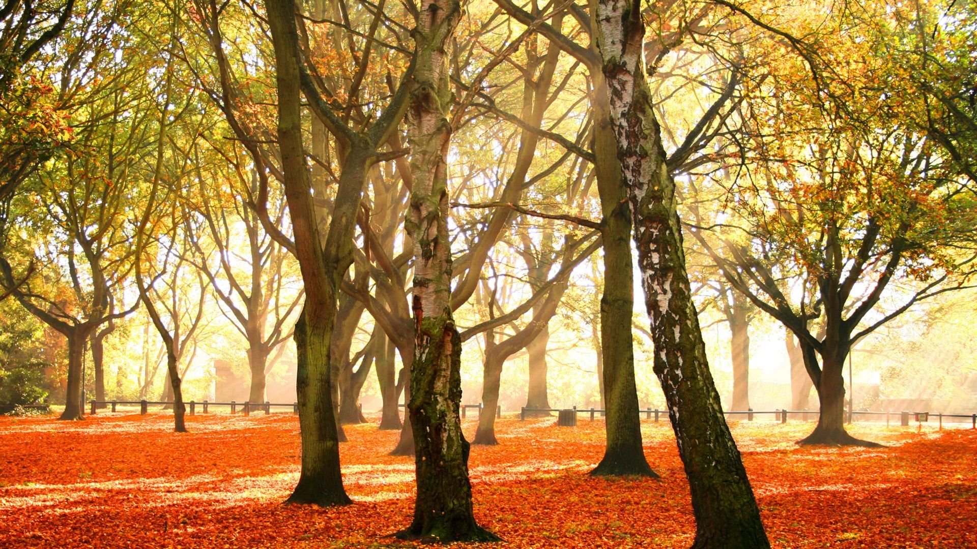 壮阔,风光,美景,旅游,自然,开阔风景,儿童桌面专用