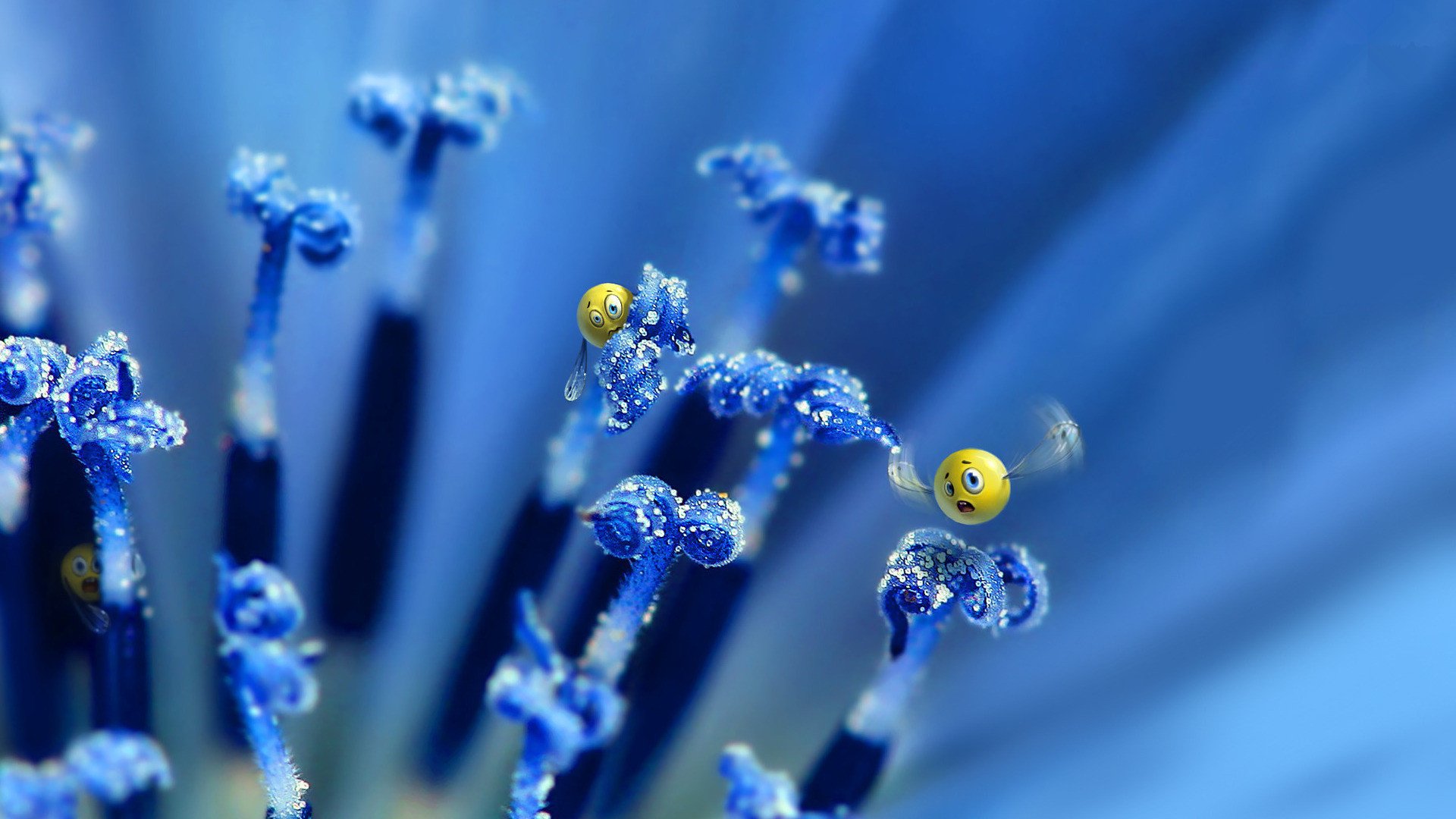 小清新,清新淡雅,1月29日,儿童桌面专用