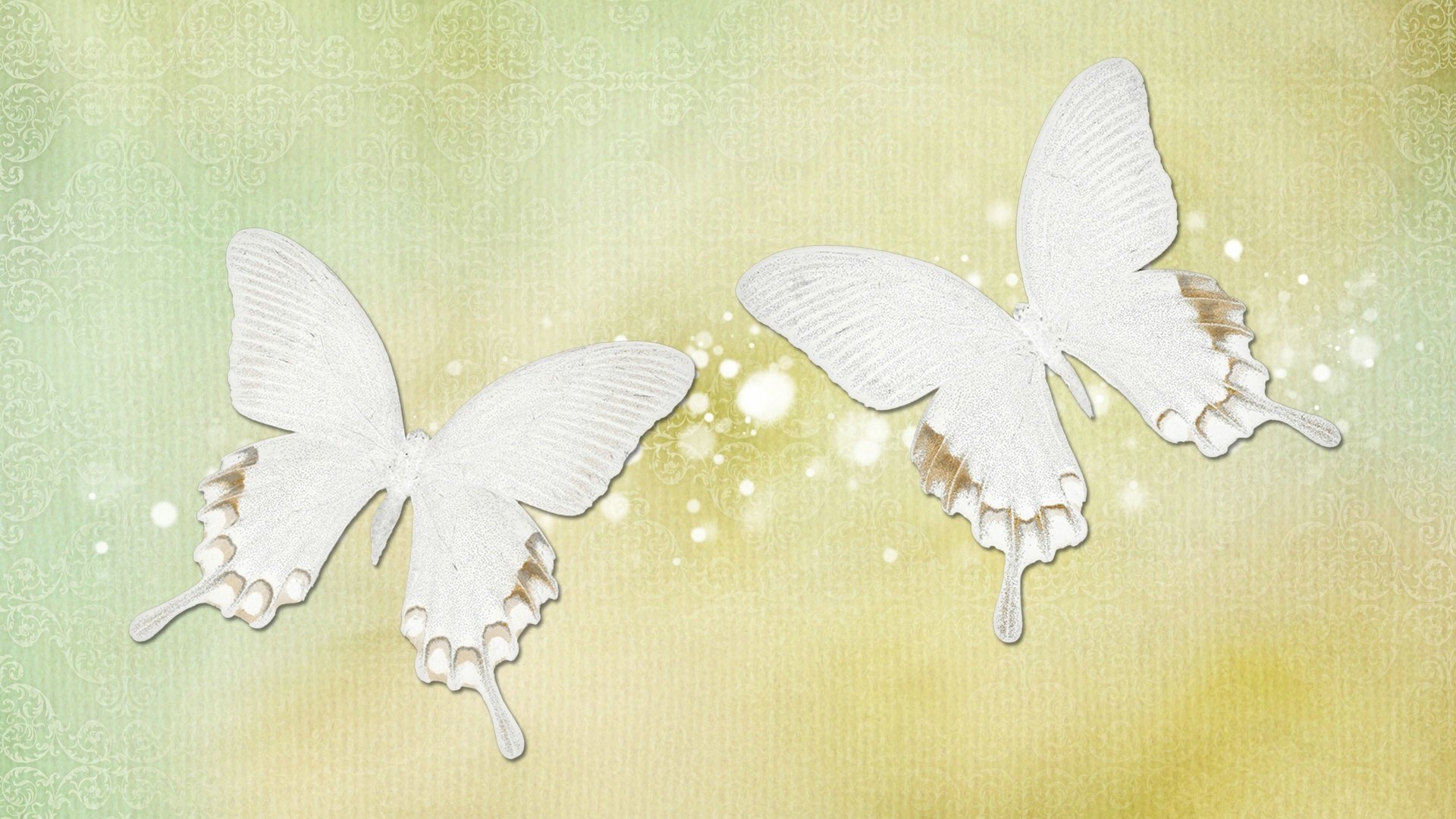 爱情美图,唯美温馨,蝴蝶,在一起