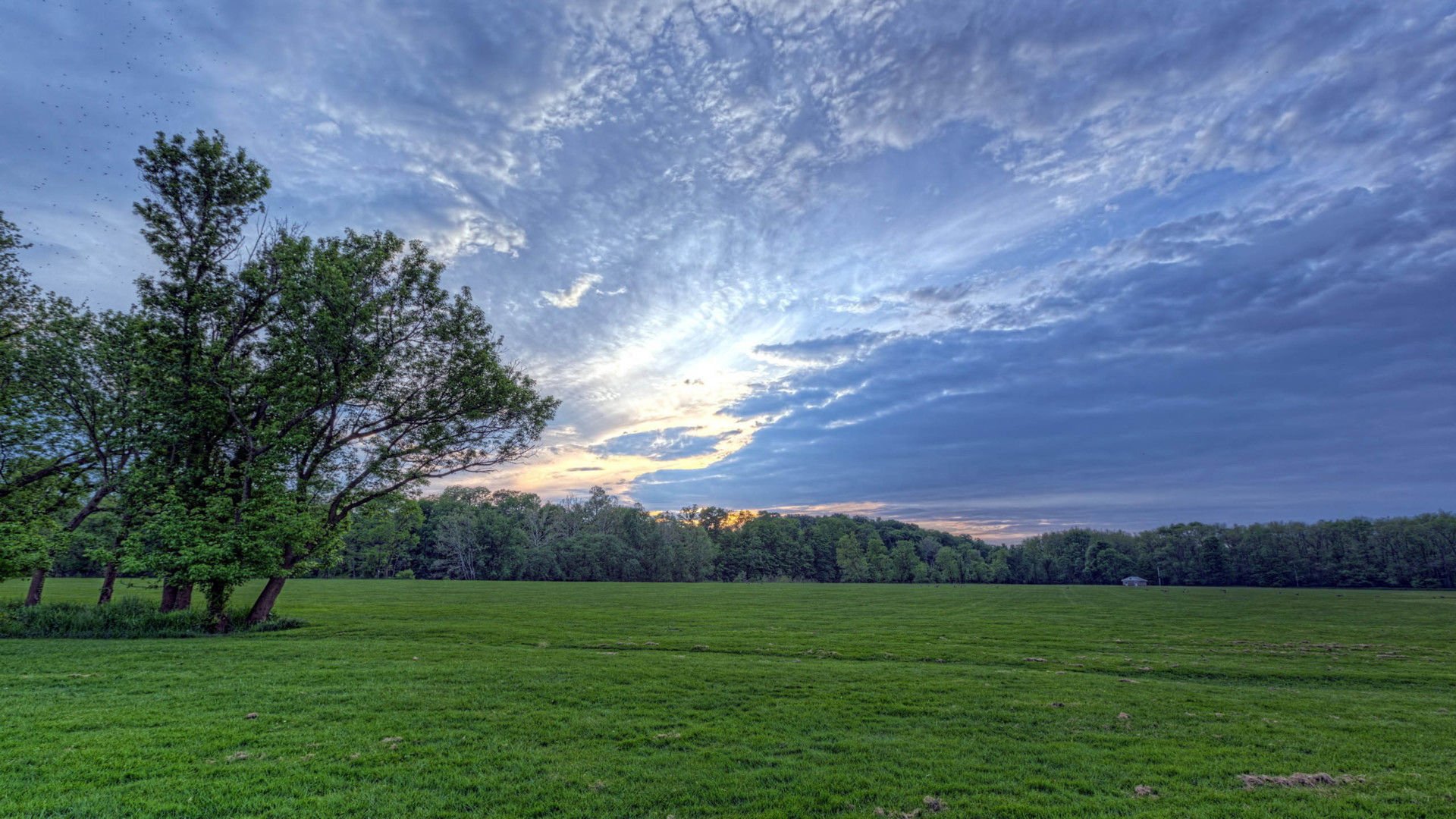 开阔,风景,阳光,大气,风光,碧绿草原,儿童桌面专用