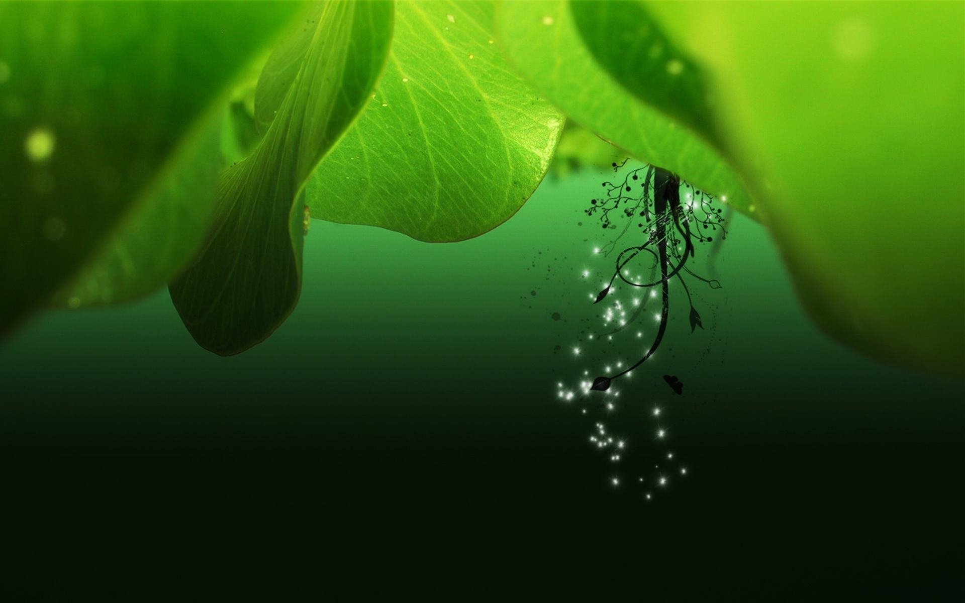 小清新,护眼壁纸,绿色,1月30日,儿童桌面专用