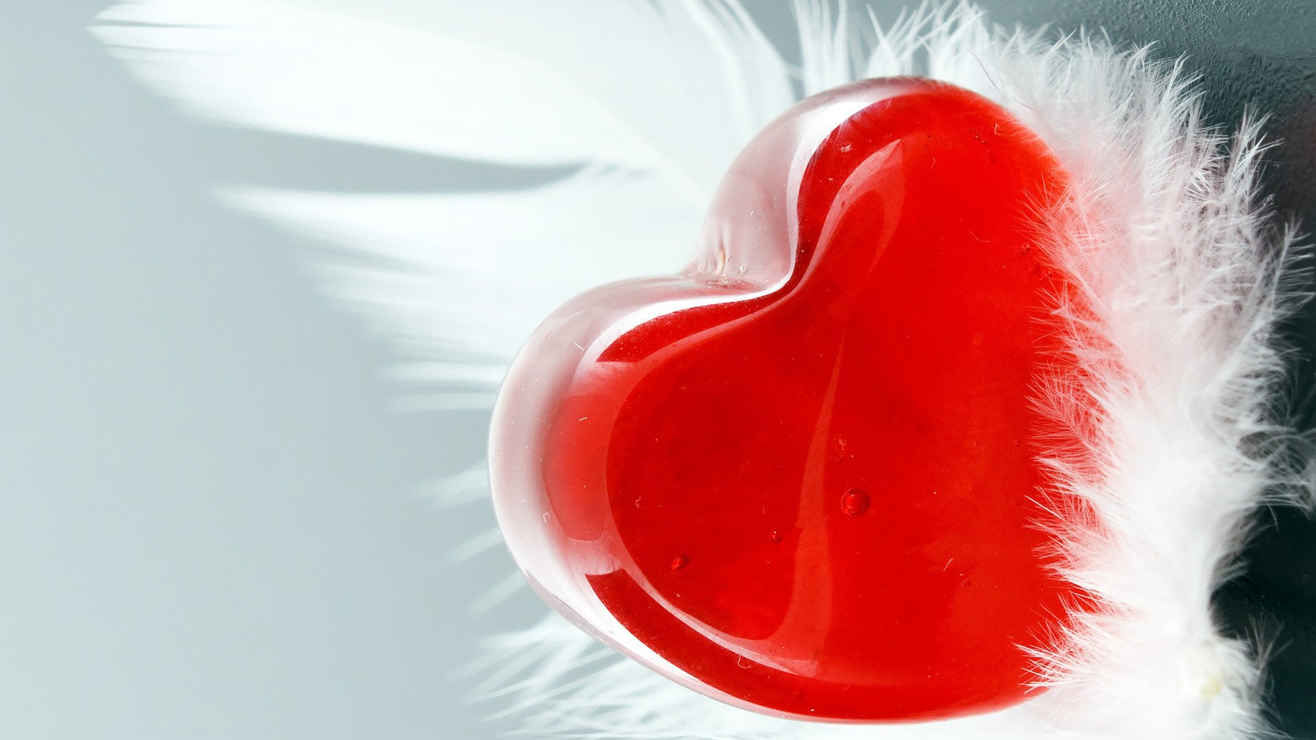 小清新,温馨一刻,1月15日,儿童桌面专用