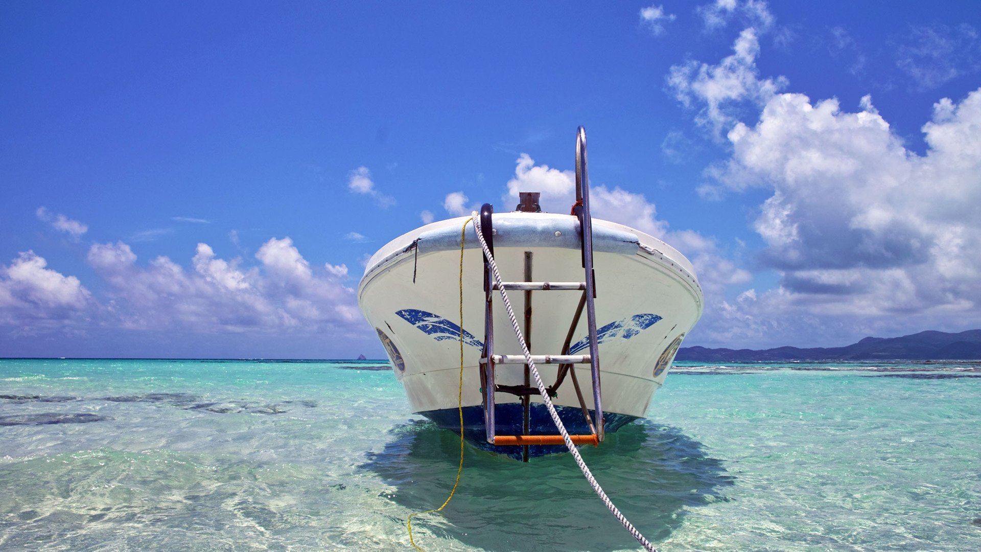 小清新,清新淡雅,海滩,1月25日,儿童桌面专用