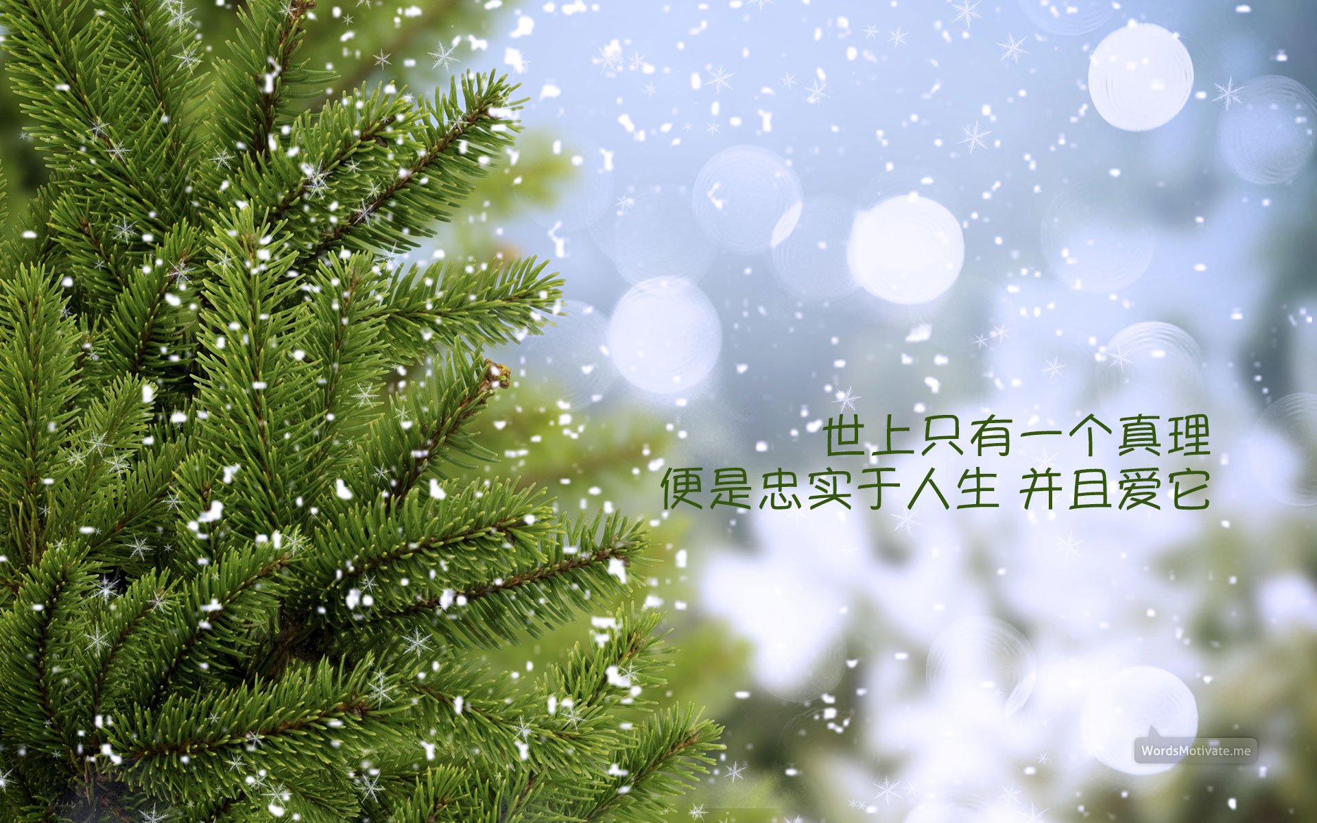 小清新,护眼壁纸,一月一日,儿童桌面专用