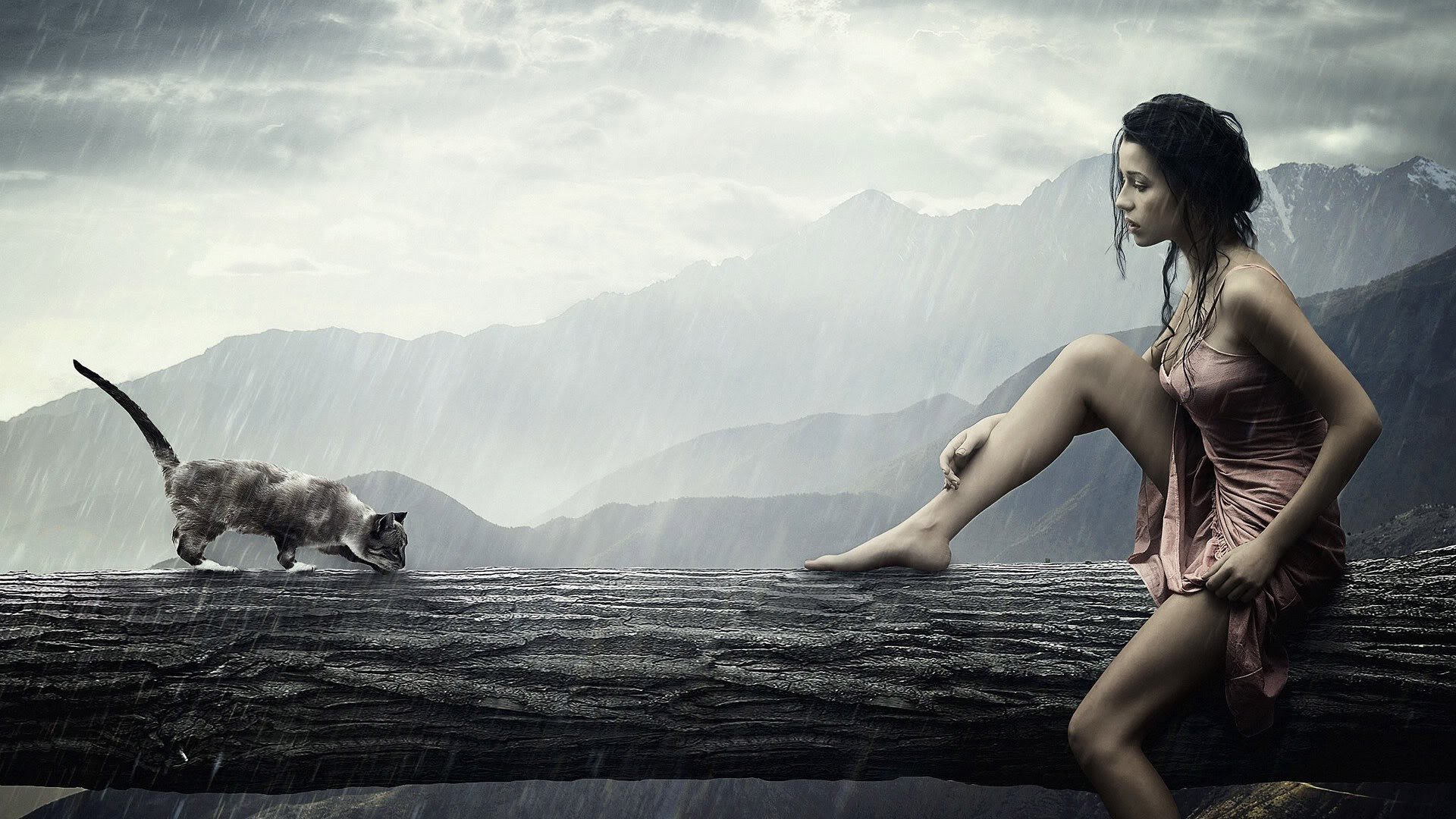 炫酷,设计,创意,猫,女人,1月29日