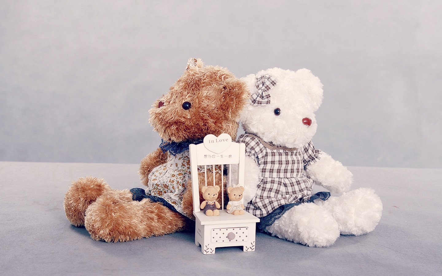 小清新,温馨一刻,玩偶,泰迪熊,一月八日,儿童桌面专用