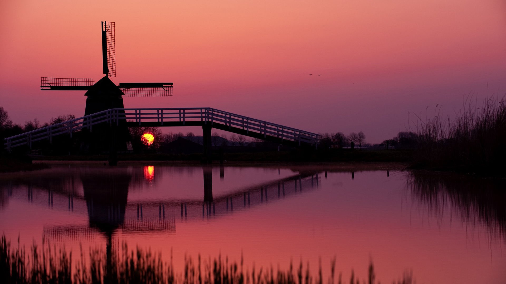 风景,落日余晖,儿童桌面专用