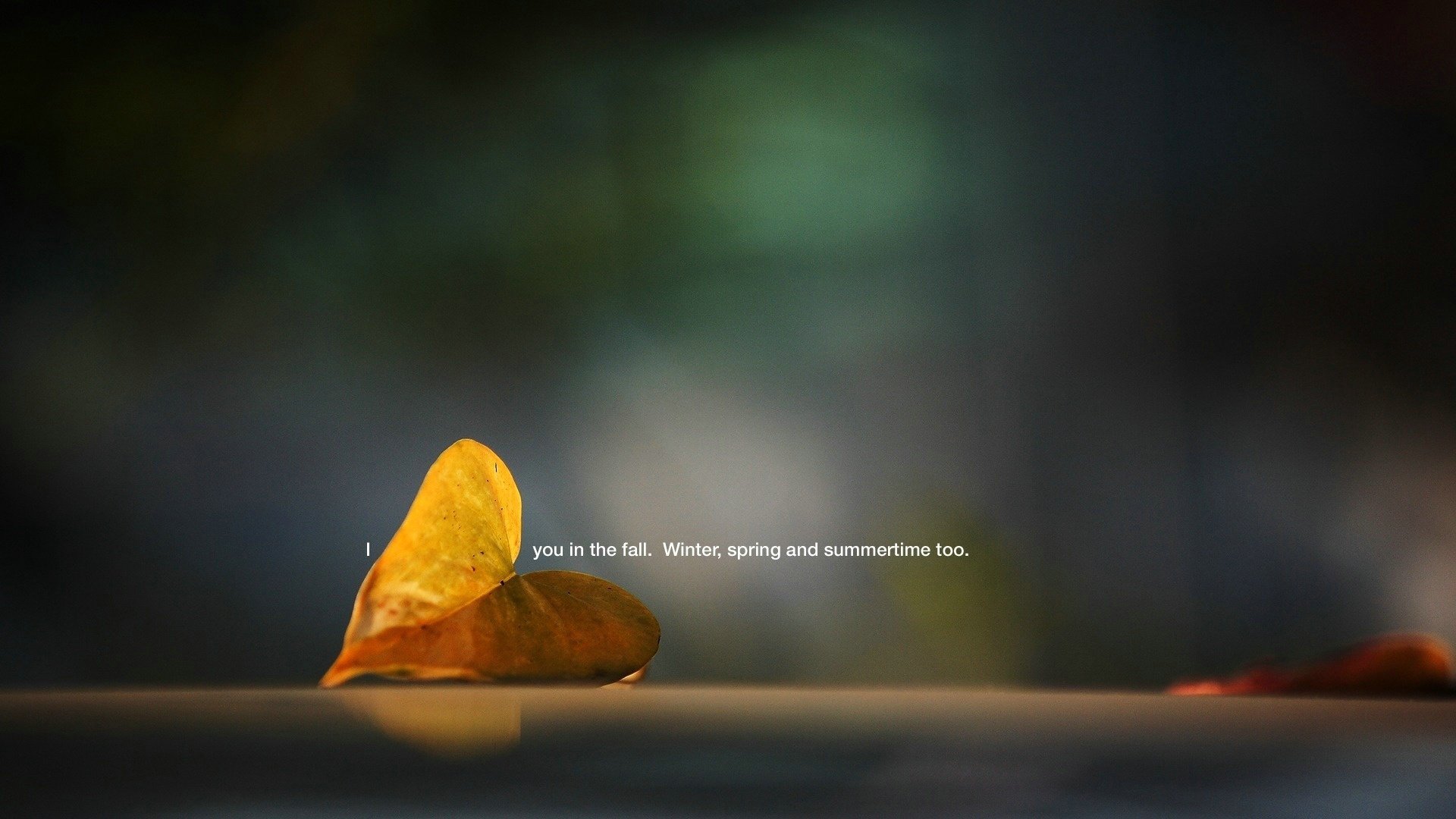 爱情美图,唯美温馨,落叶,浪漫