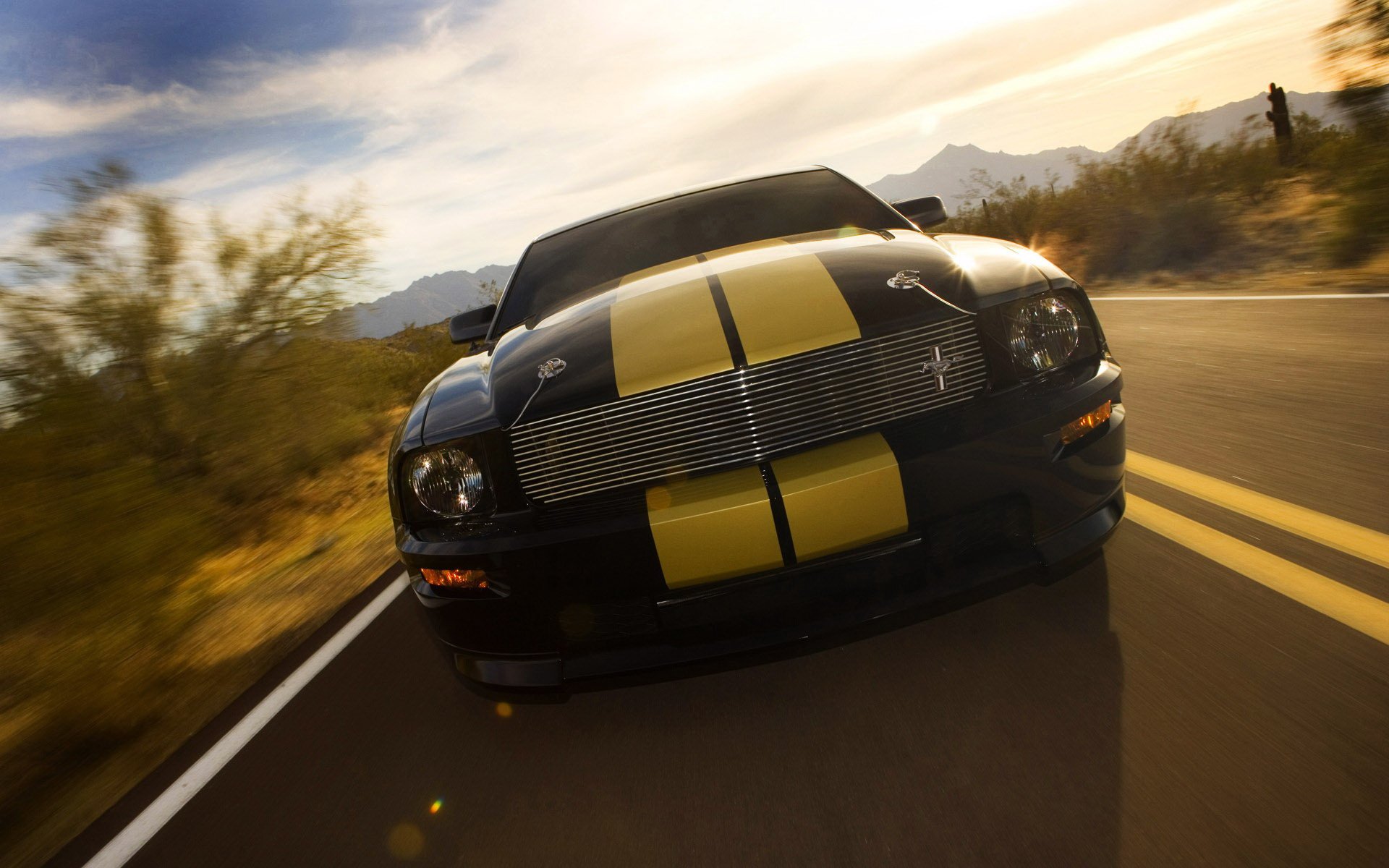 汽车,超跑,改装车,福特,野马,儿童桌面专用