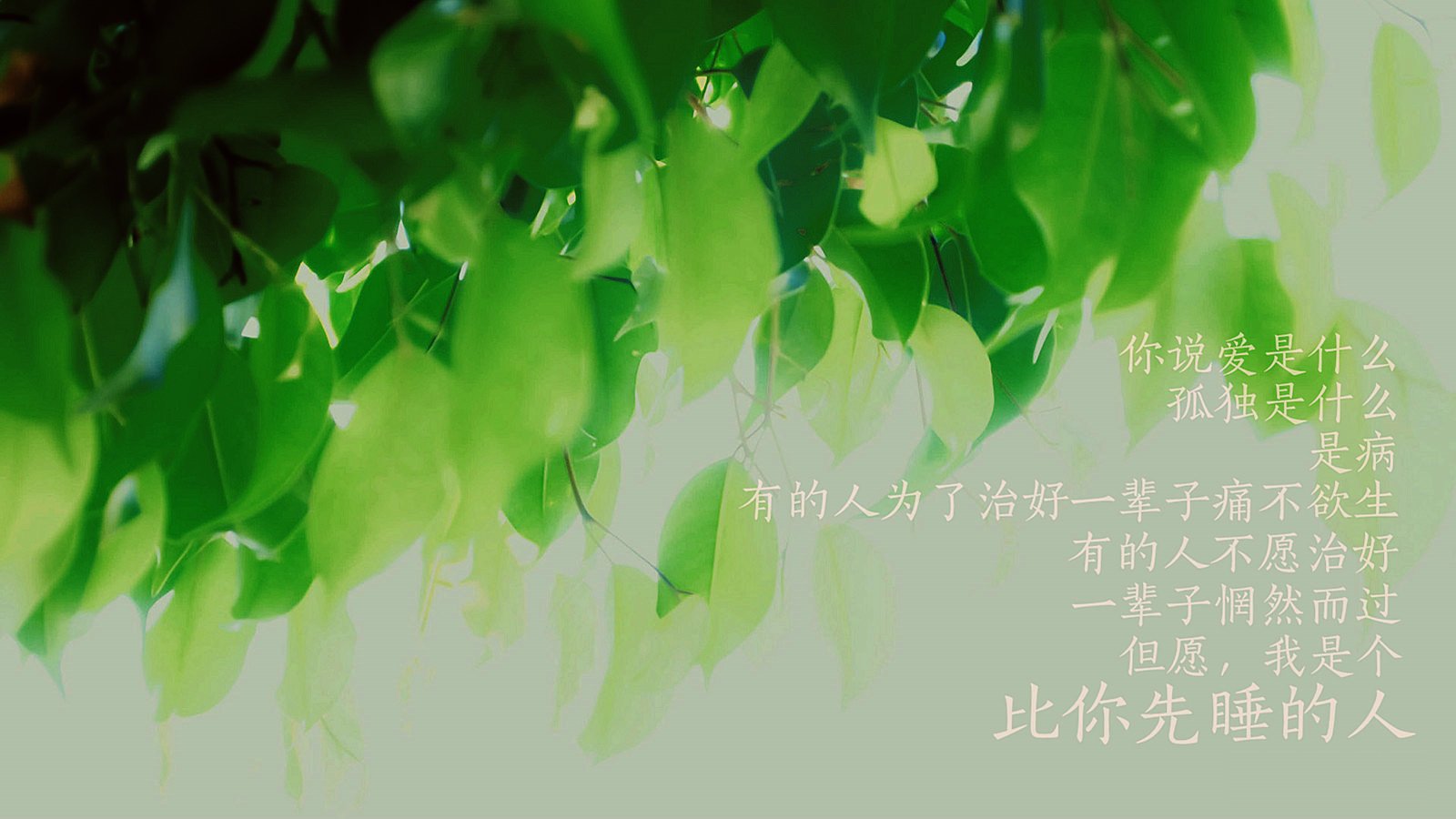 爱情美图,爱情箴言,比你先睡的人,孤独,伤感