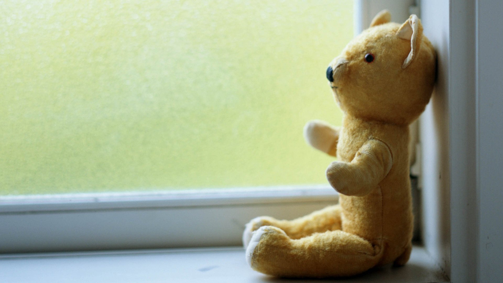 小清新,静物写真,玩偶,小熊,1月18日,儿童桌面专用