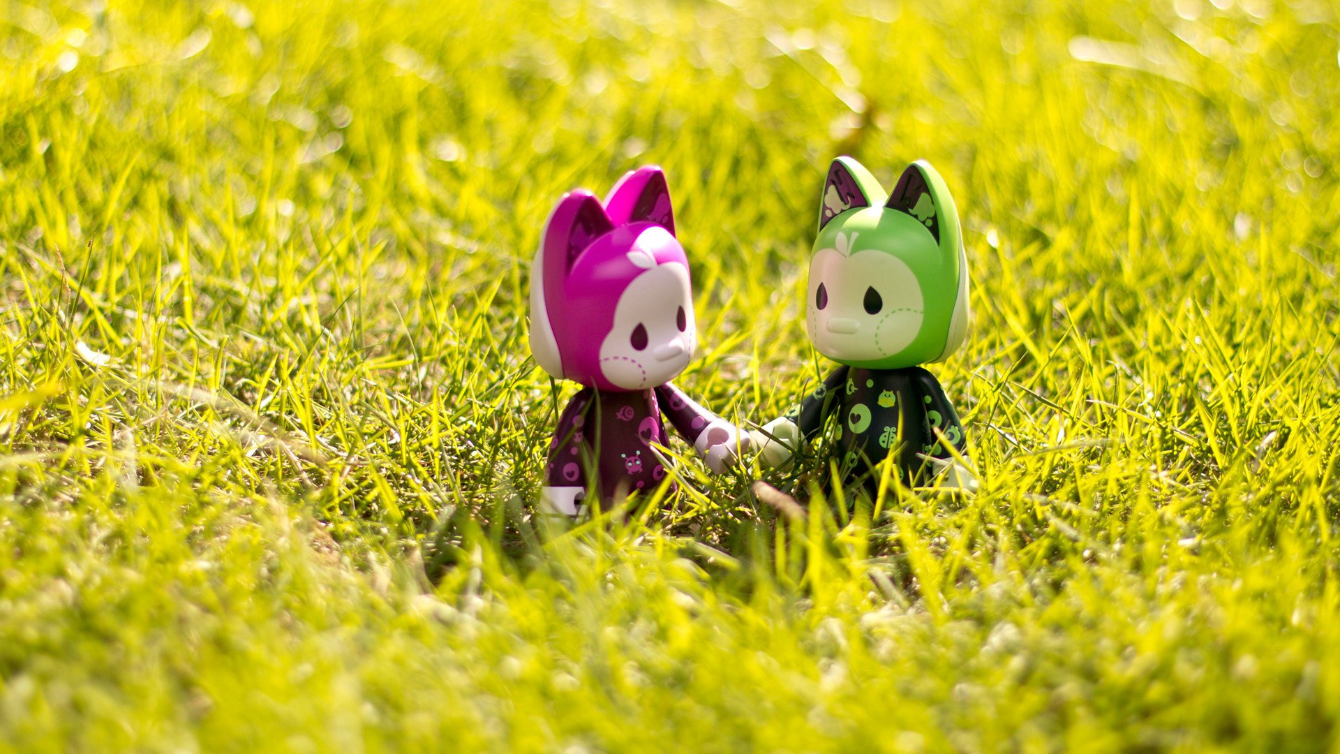 爱情美图,唯美温馨,猫无双