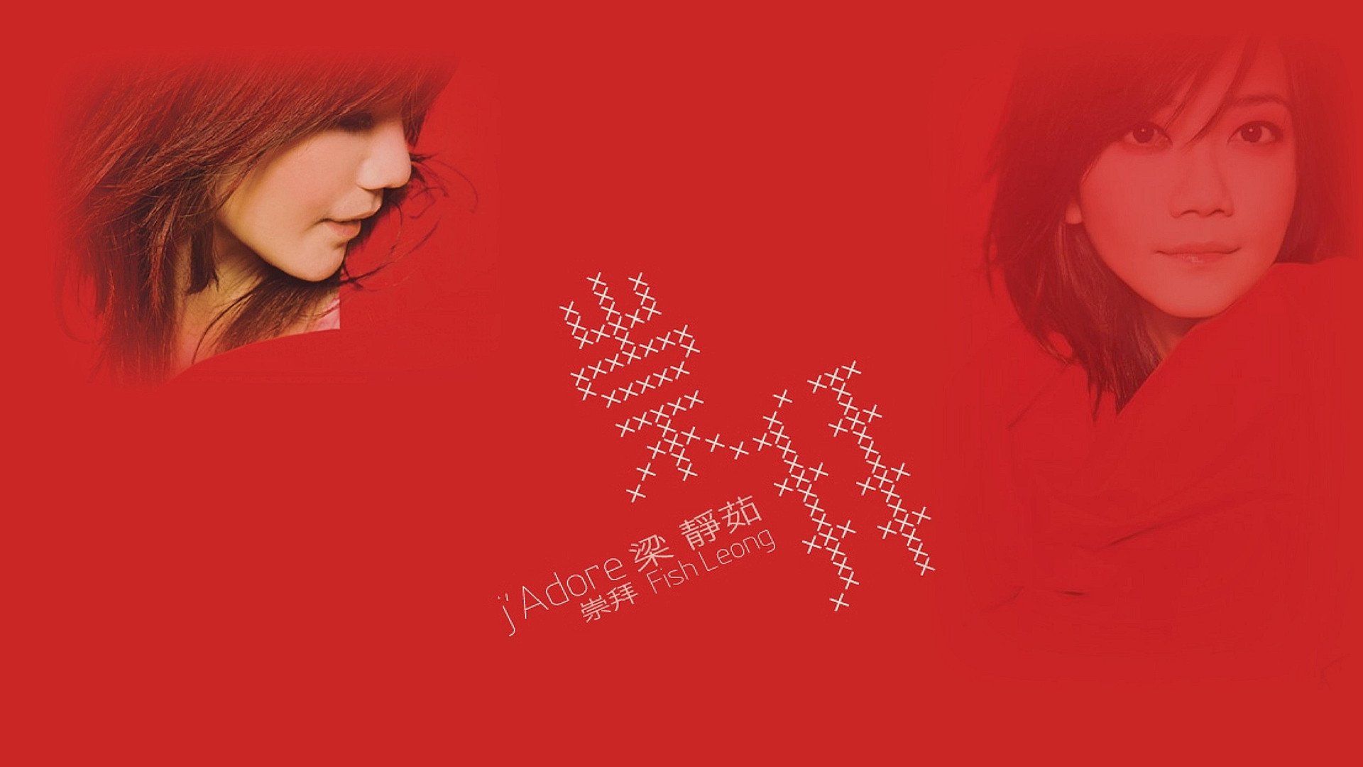 女明星,梁静茹,1月30日