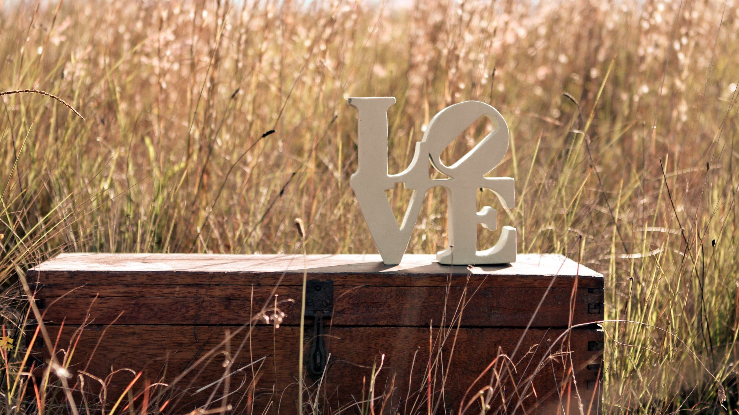 爱情美图,唯美温馨,love,爱你