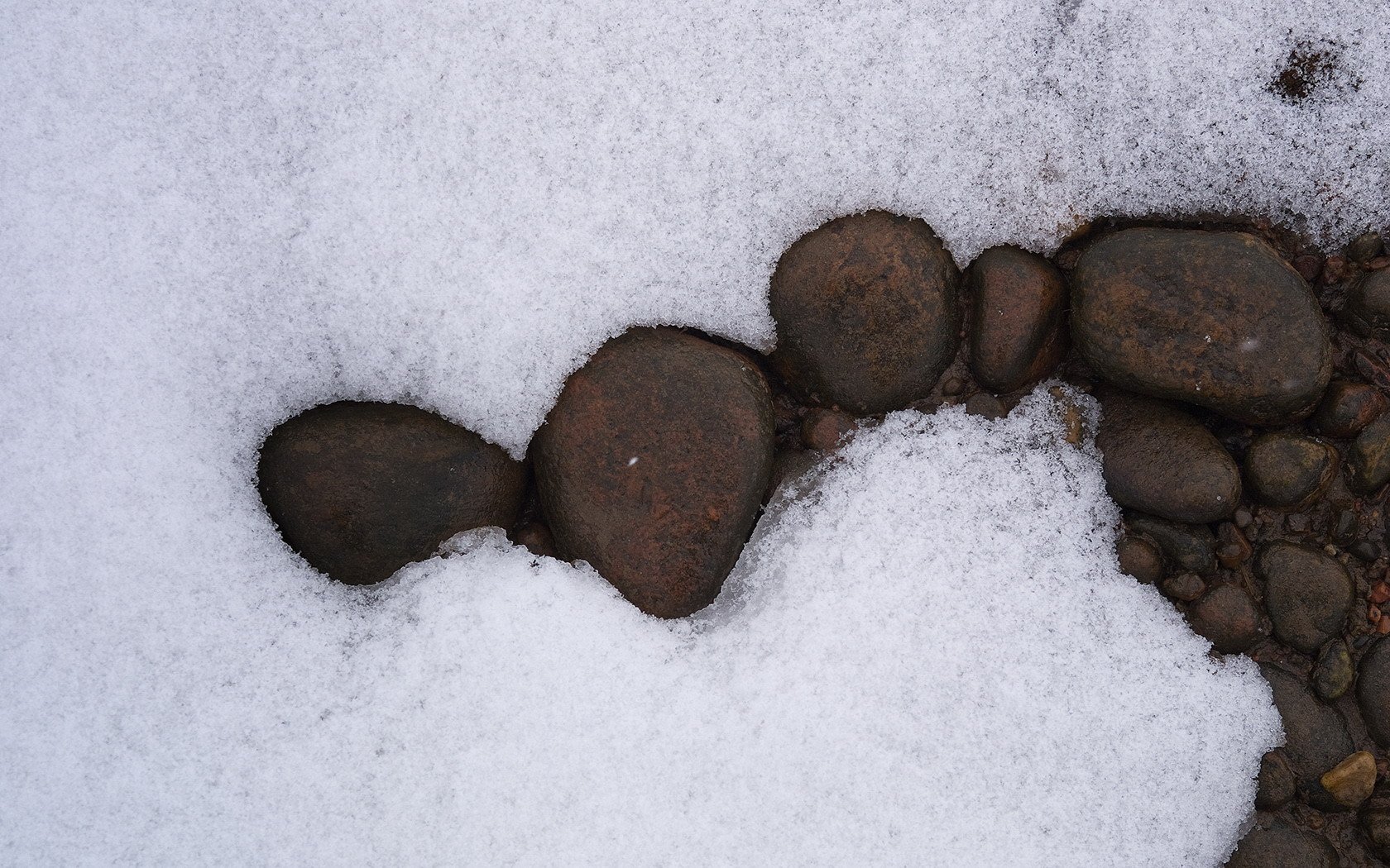 小清新,清新淡雅,1月15日