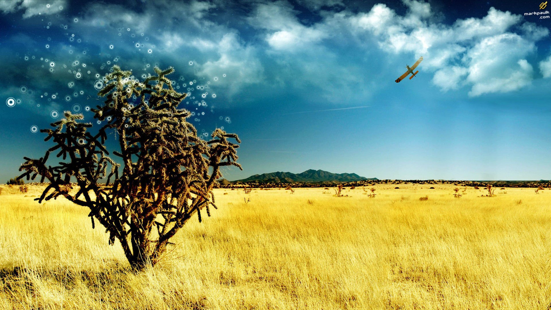 开阔,风景,阳光,大气,风光,碧绿草原,儿童桌面专用