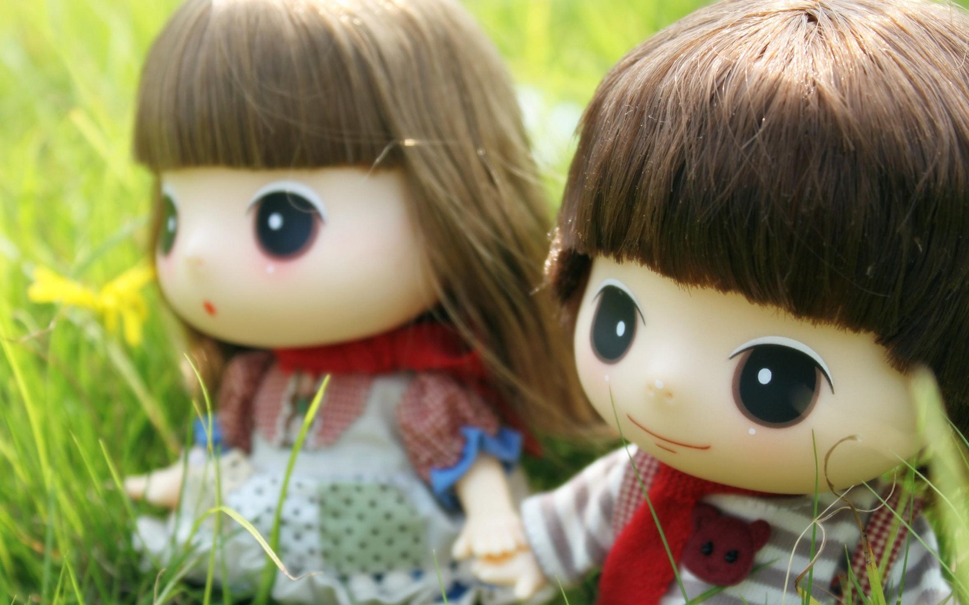 小清新,静物写真,玩偶,1月29日,儿童桌面专用