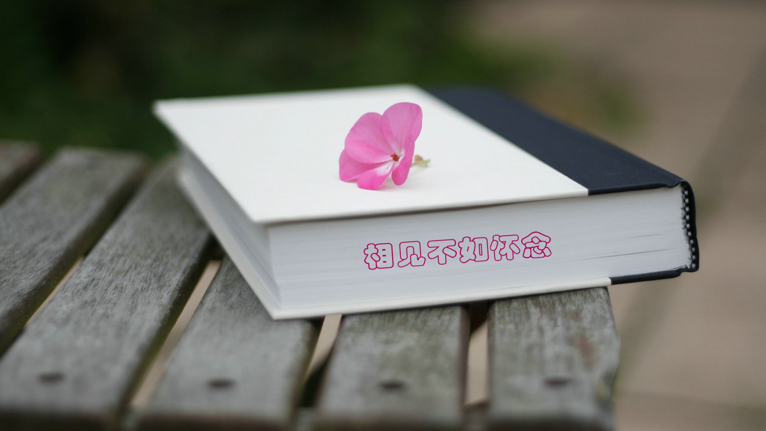 爱情美图,唯美温馨,笔记本,相见,怀念