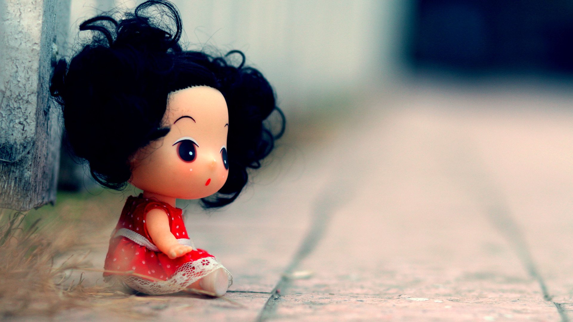 小清新,静物写真,迷糊娃娃,一月十日,儿童桌面专用