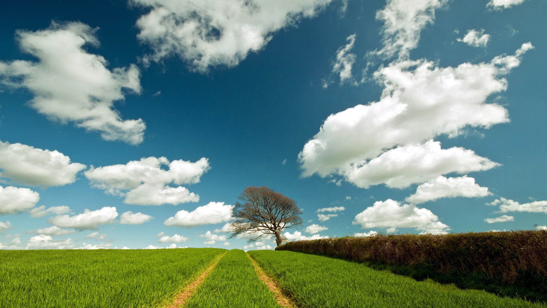 壮阔,风光,美景,旅游,自然,开阔风景,儿童桌面专用