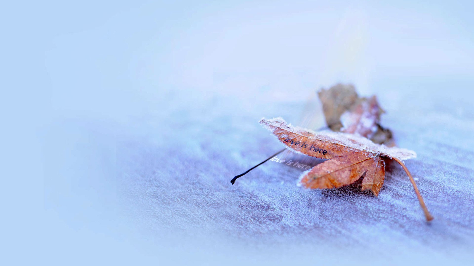 小清新,温馨一刻,一月十一日,儿童桌面专用