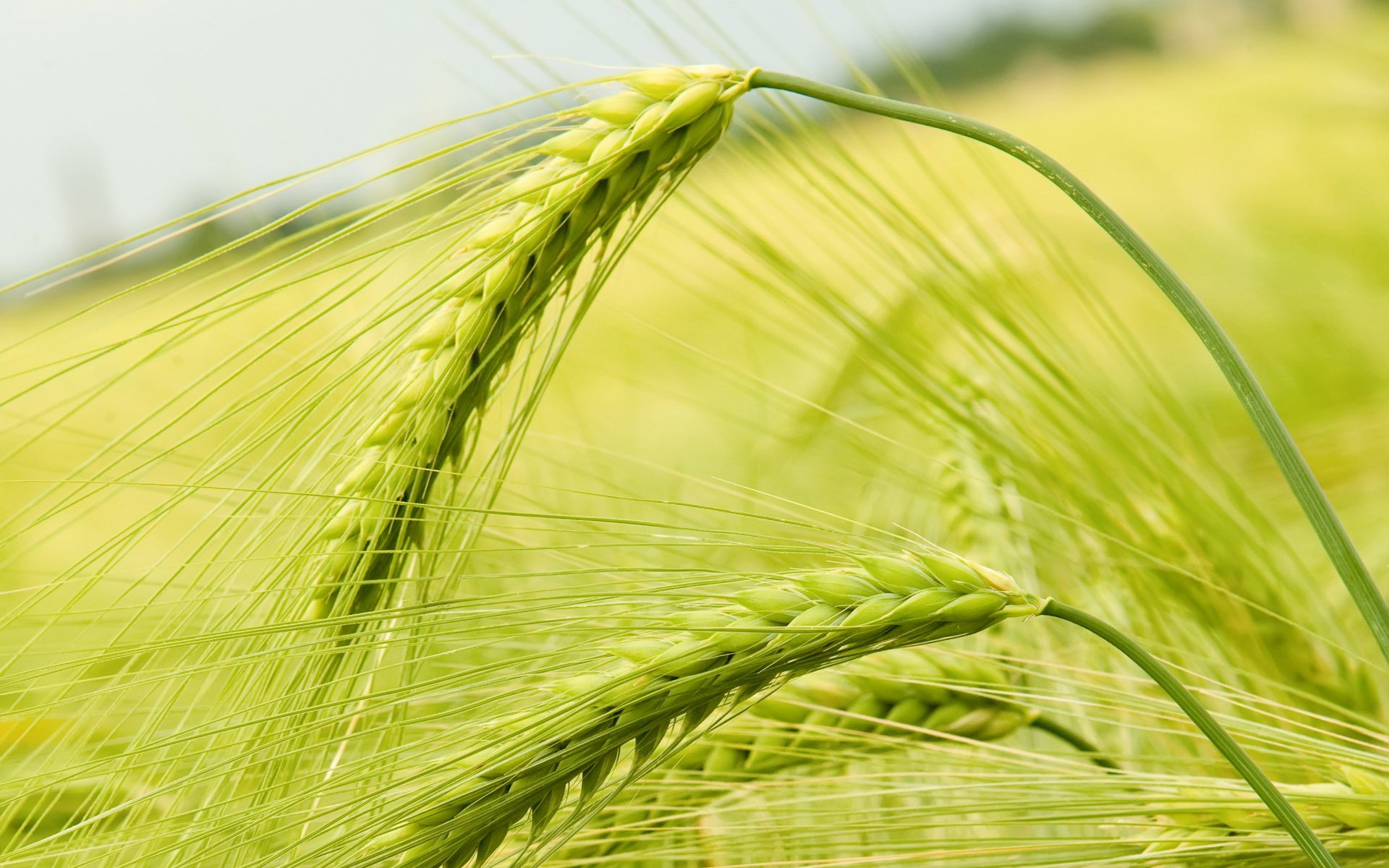 风景,风光,美景,大自然,旅游,儿童桌面专用