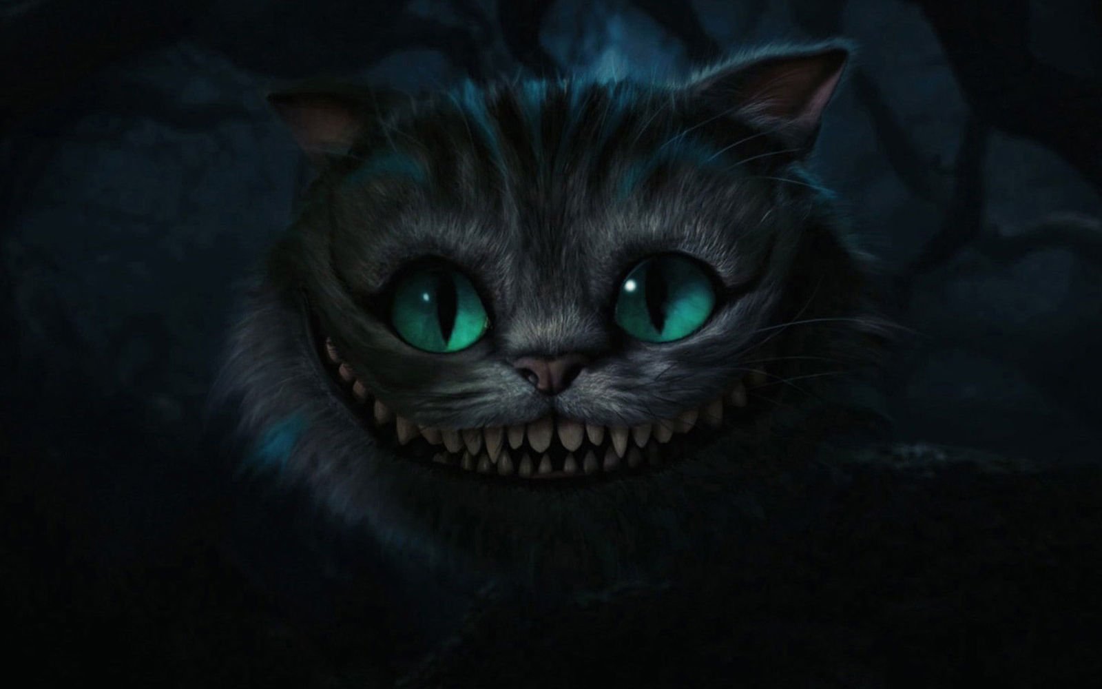 萌宠,喵星人,古灵精怪,宠物,猫,憨态百出,搞笑图,儿童桌面专用