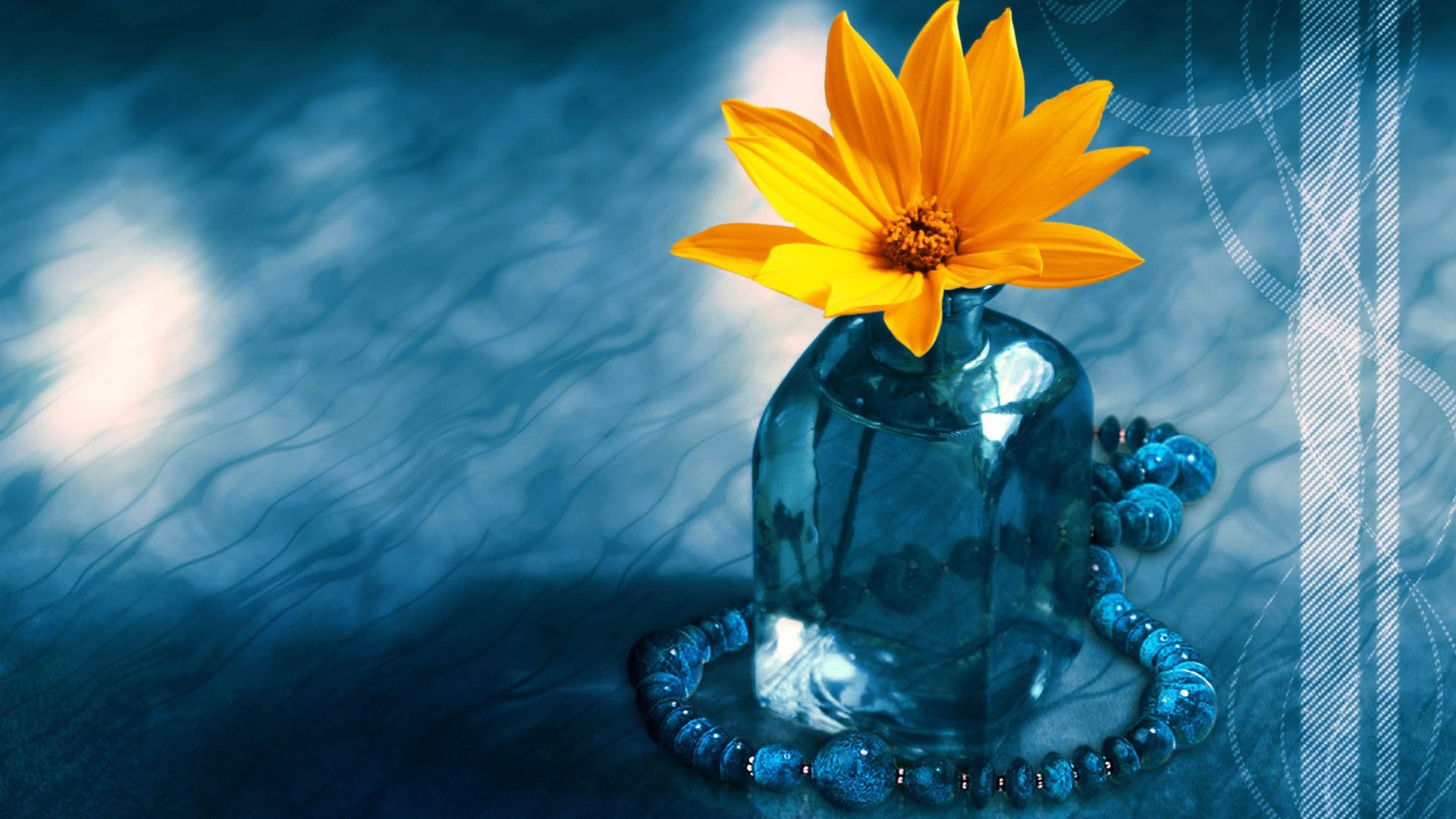 小清新,静物写真,1月24日,儿童桌面专用