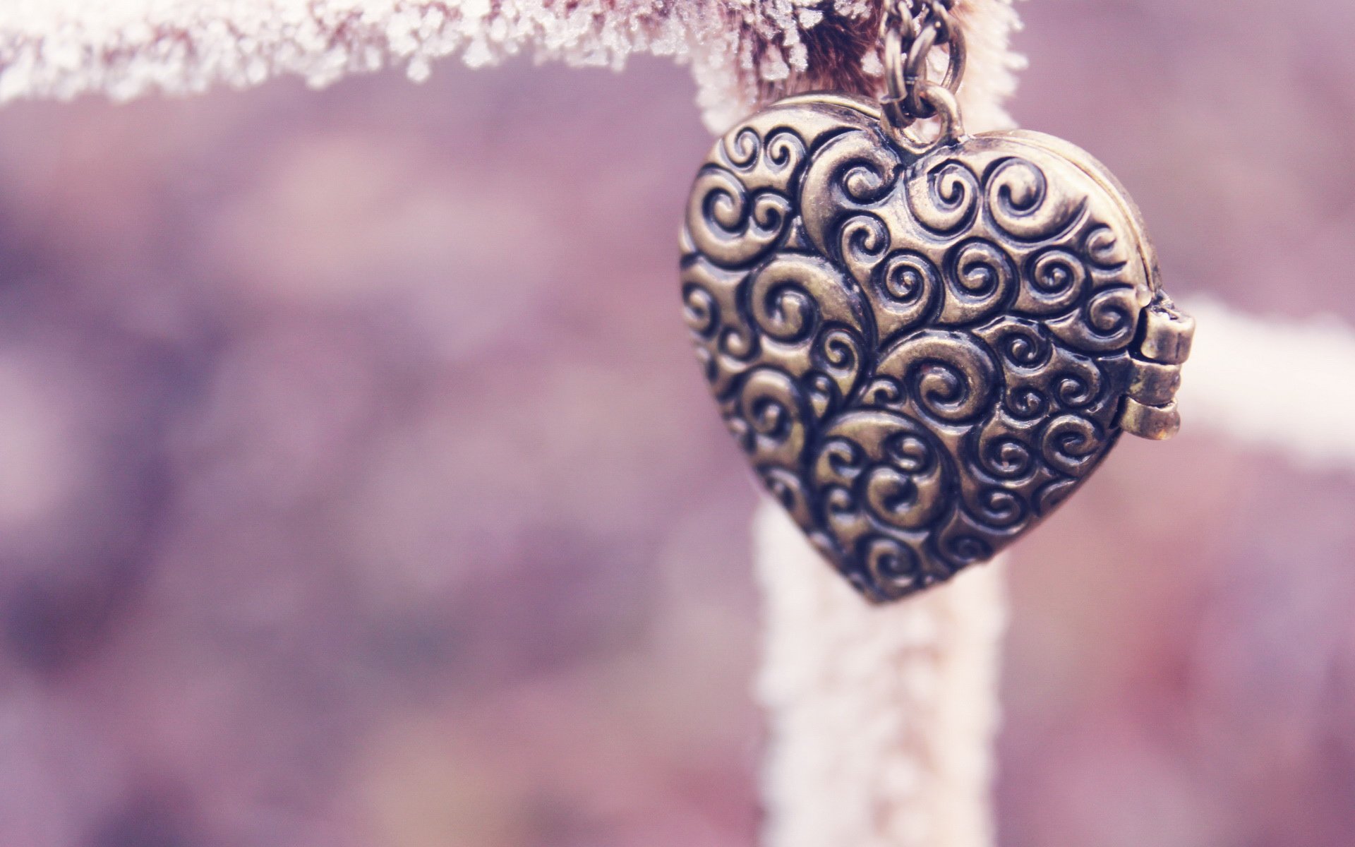 小清新,静物写真,1月16日,儿童桌面专用