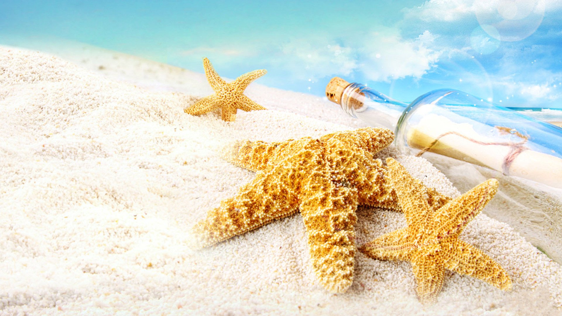 小清新,静物写真,海滩,海星,1月18日,儿童桌面专用