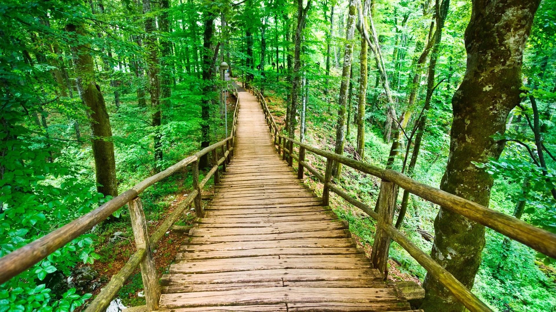 壮丽,风光,美景,旅游,自然,开阔风景,儿童桌面专用