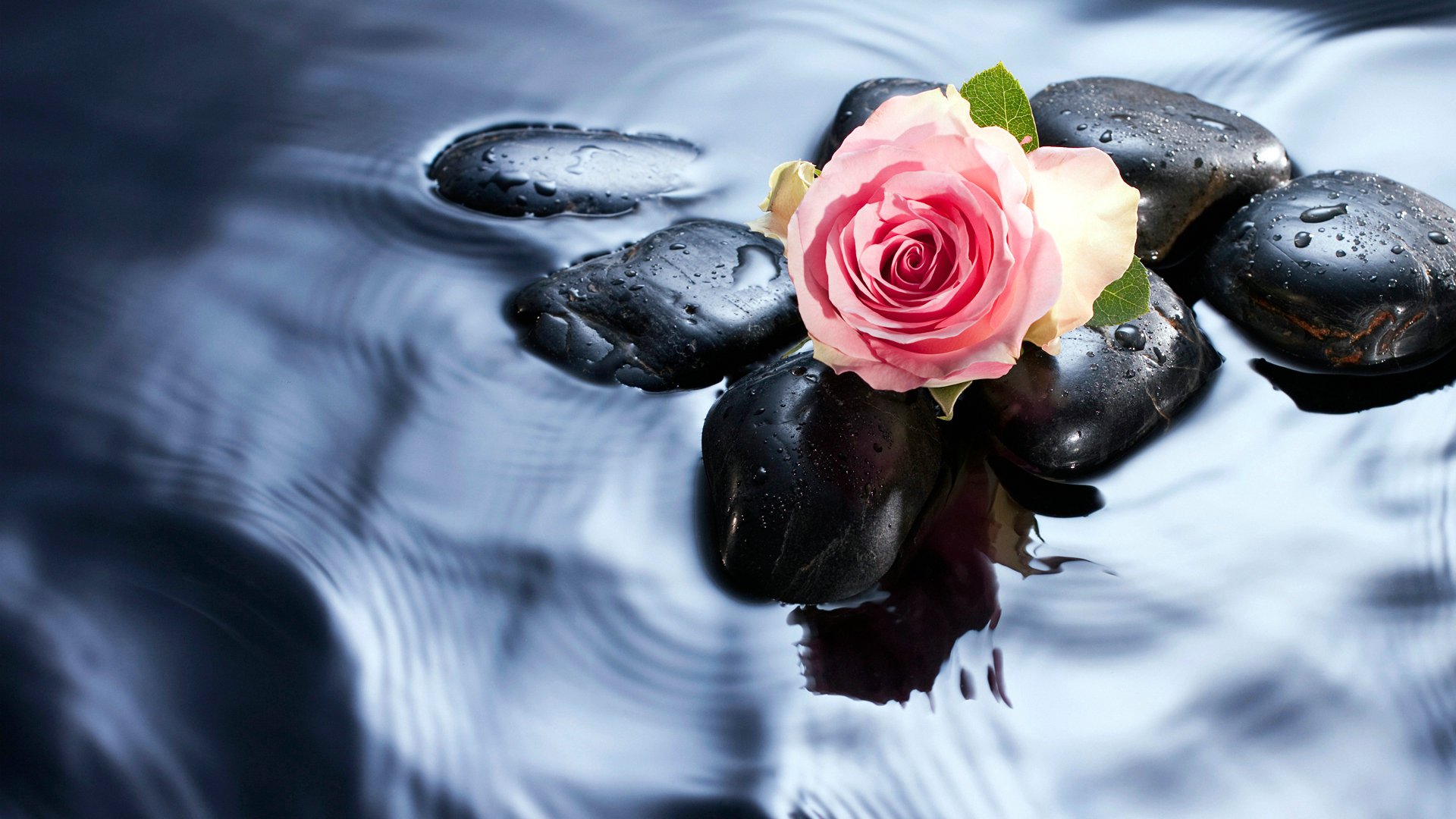 爱情美图,唯美温馨,玫瑰,浪漫