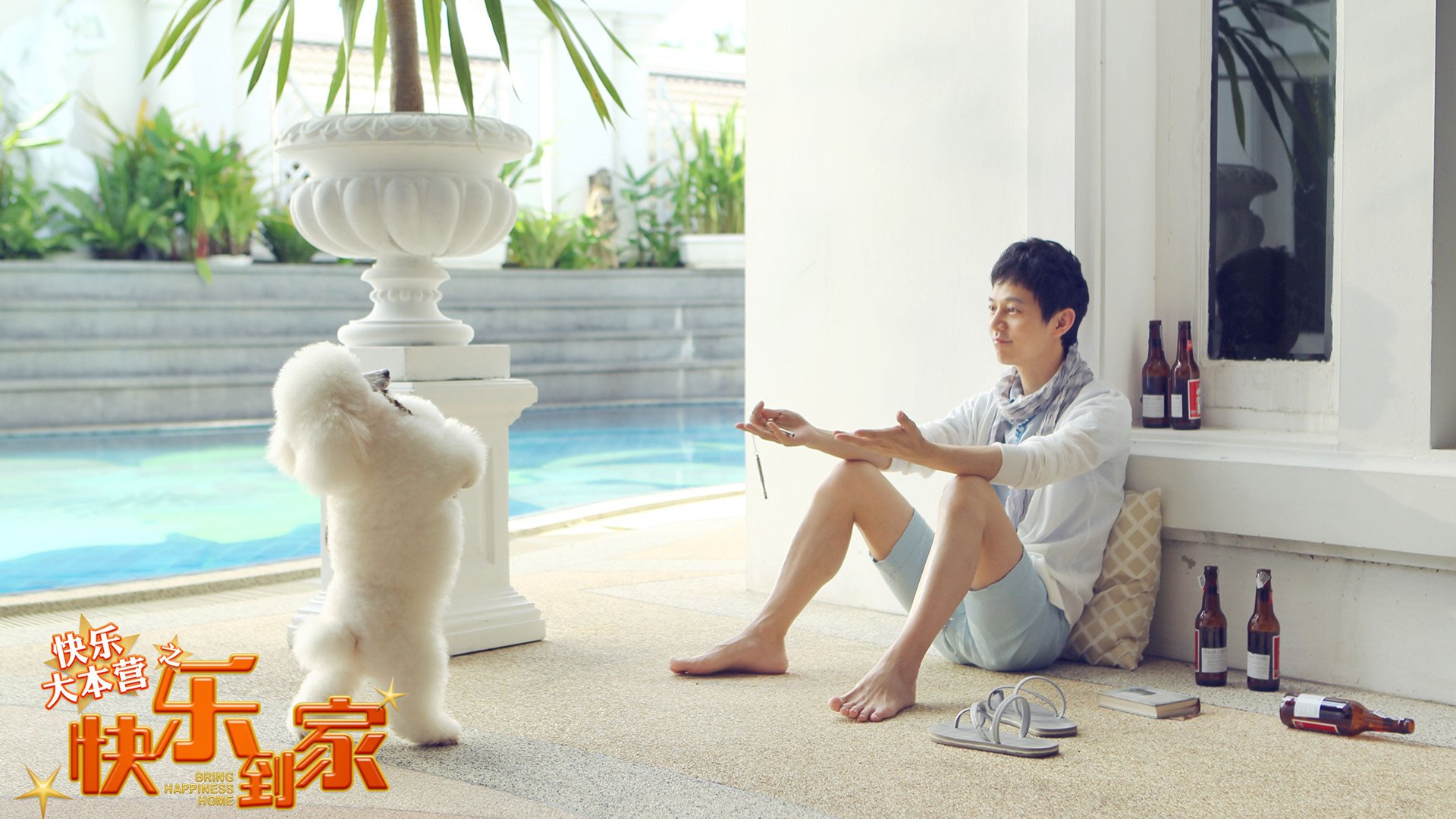 影视,快乐大本营,快乐到家,快乐家族,何炅