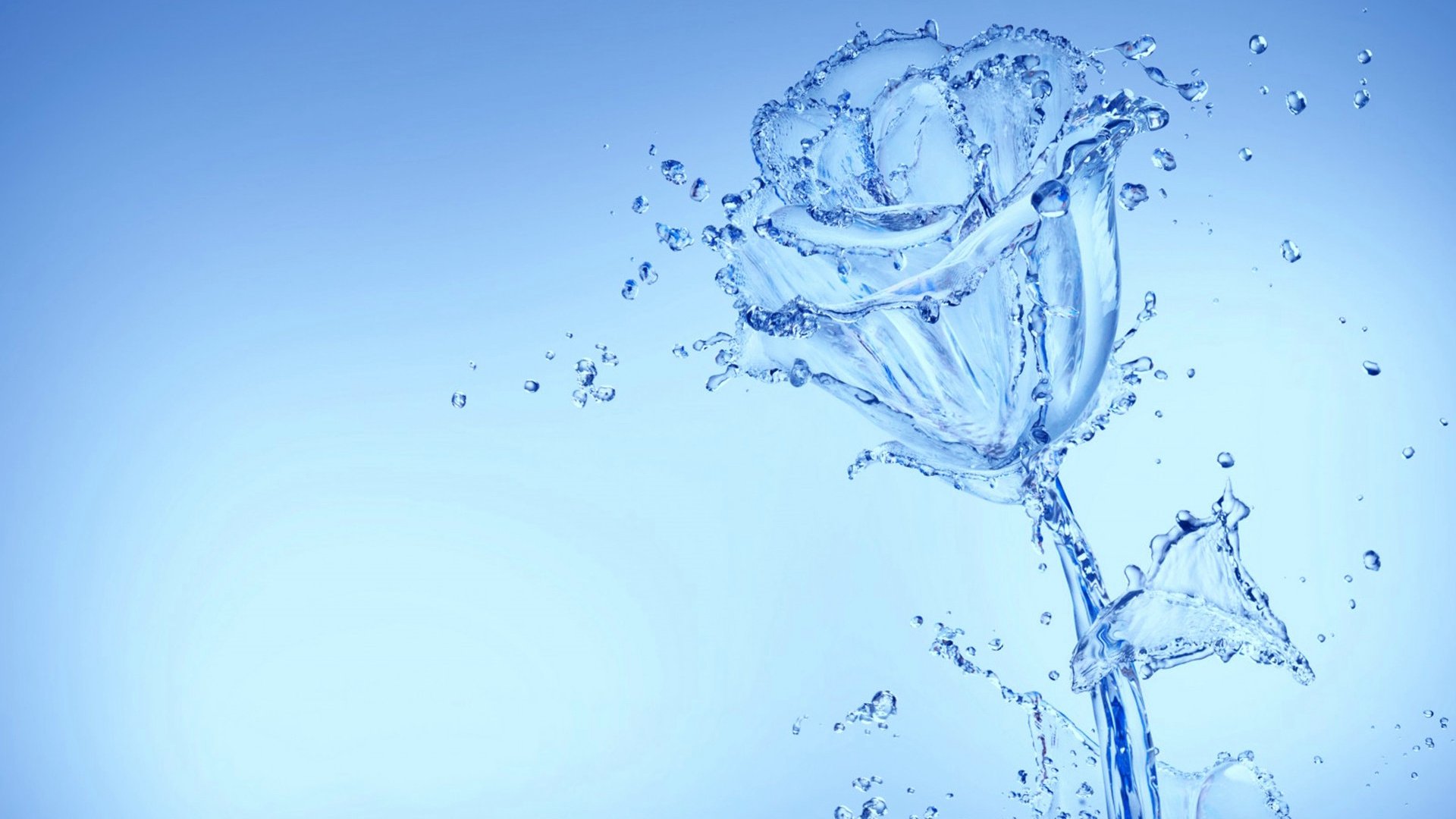 爱情美图,唯美温馨,玫瑰