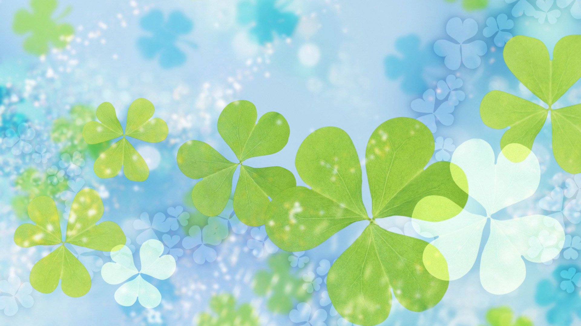 小清新,护眼壁纸,四叶草,幸运,儿童桌面专用