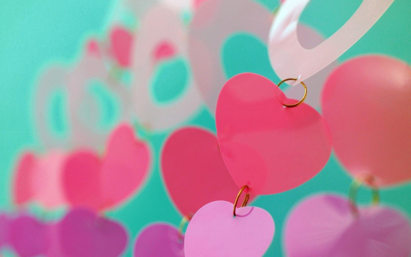 小清新,静物写真,1月16日,儿童桌面专用