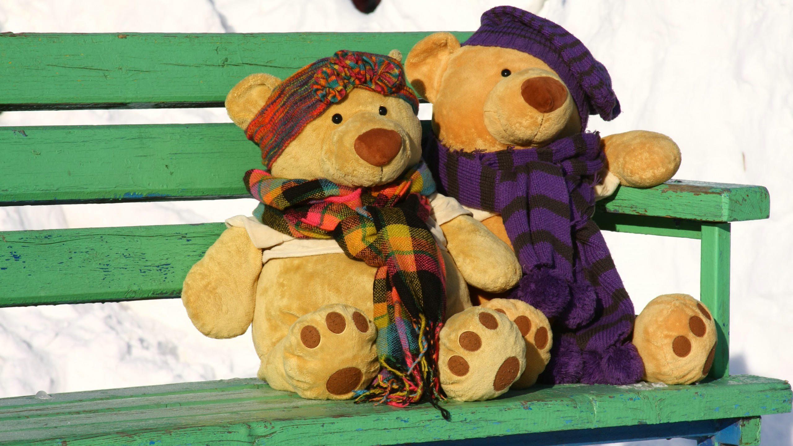 爱情美图,唯美温馨,可爱,泰迪,熊