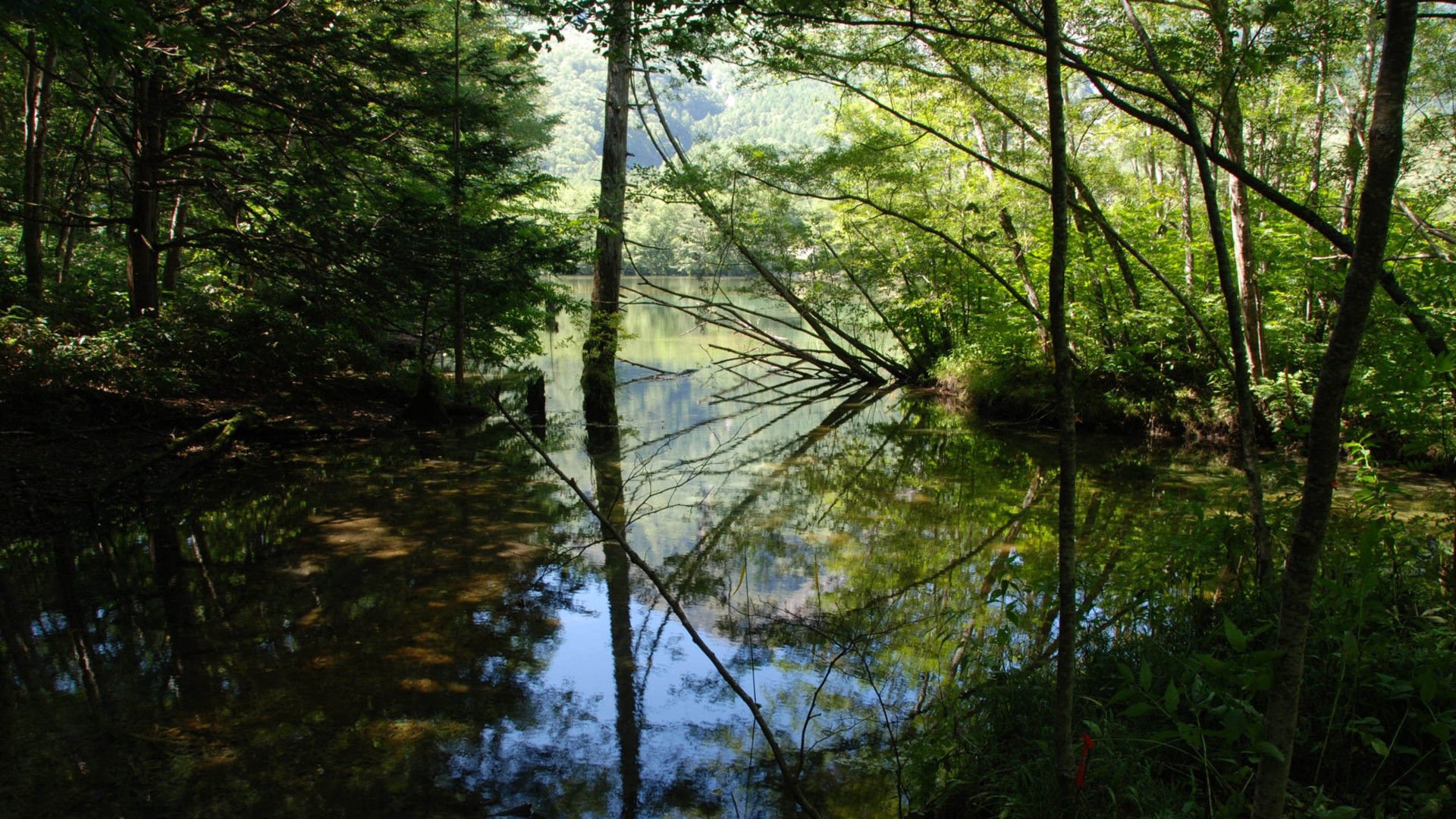 风景,风光,美景,旅游,自然,开阔风景,儿童桌面专用