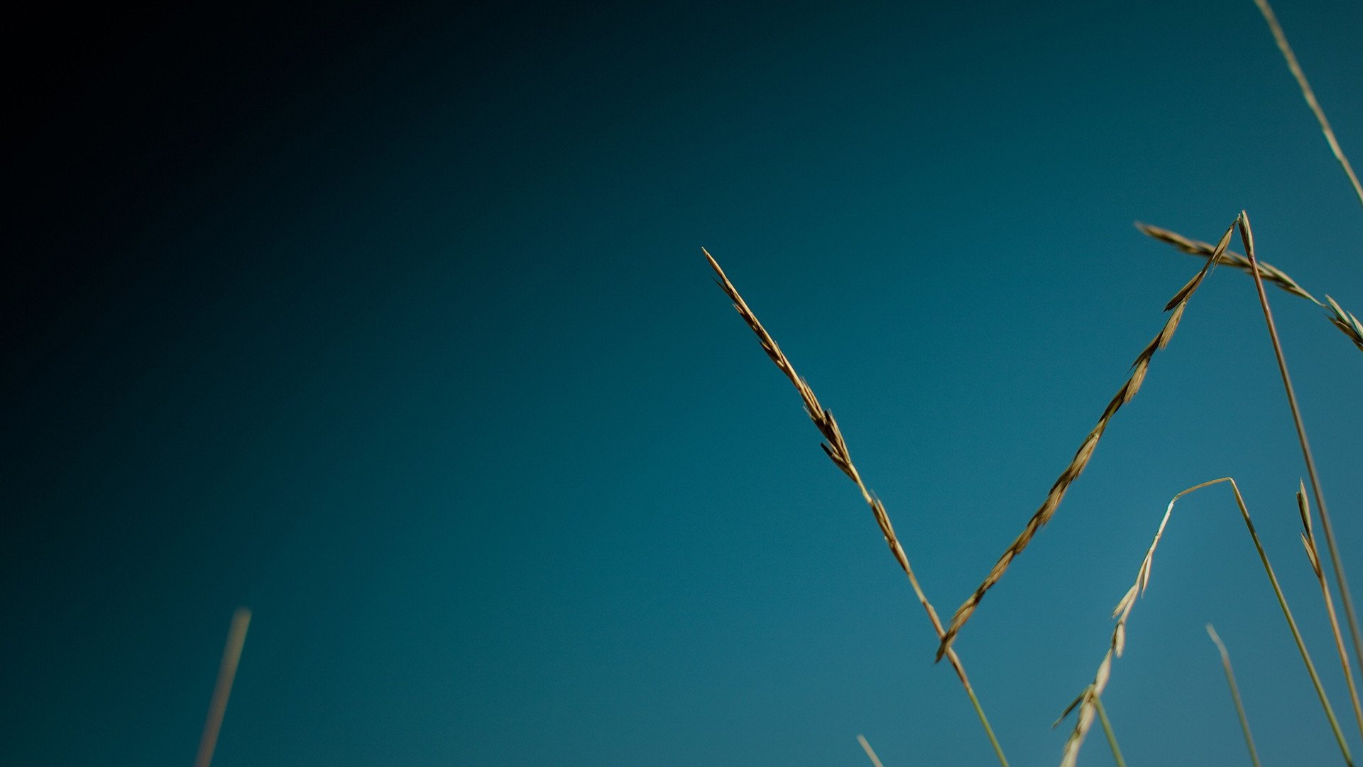 小清新,舒缓压力,1月23日,儿童桌面专用