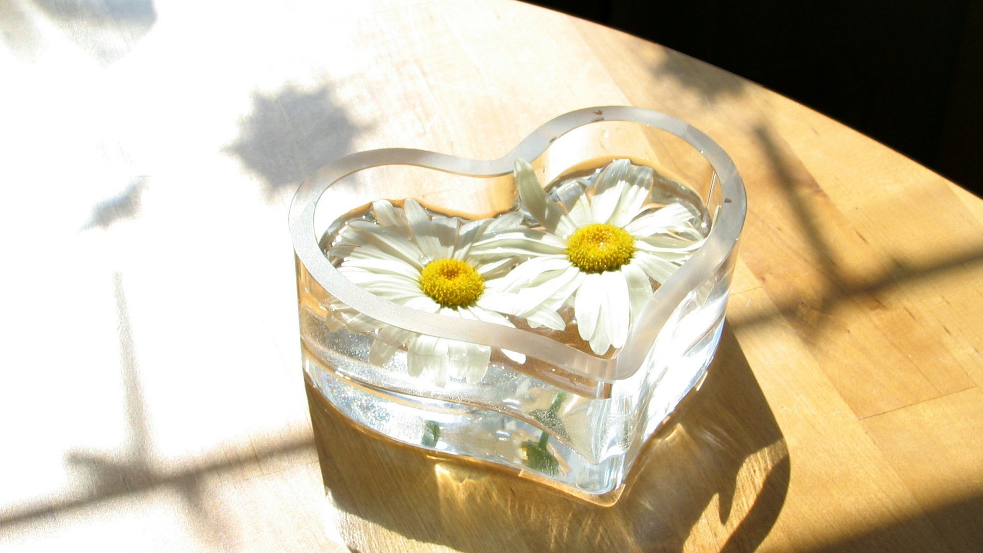 爱情美图,心动创意