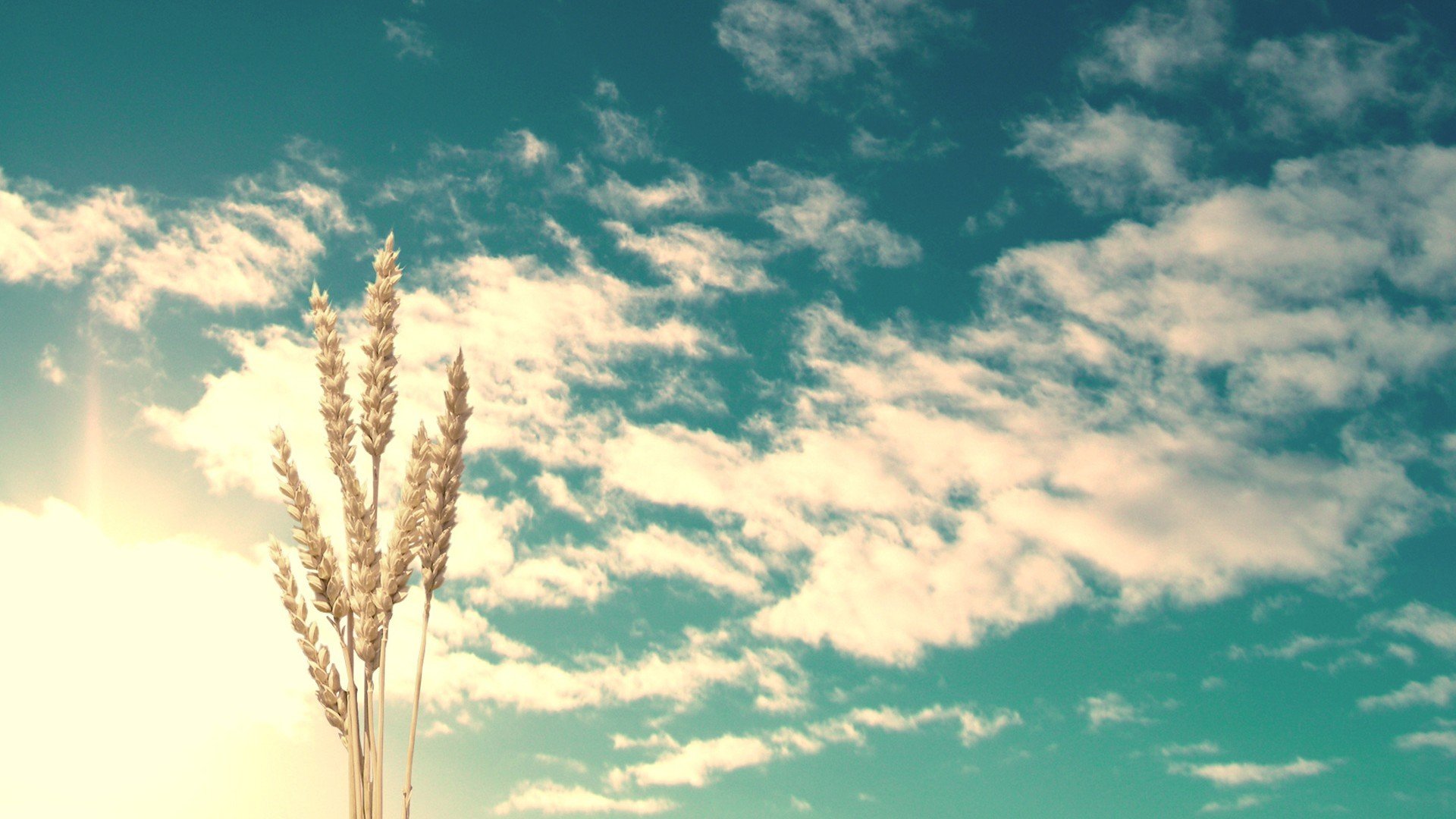 小清新,清新淡雅,天空,1月25日,儿童桌面专用