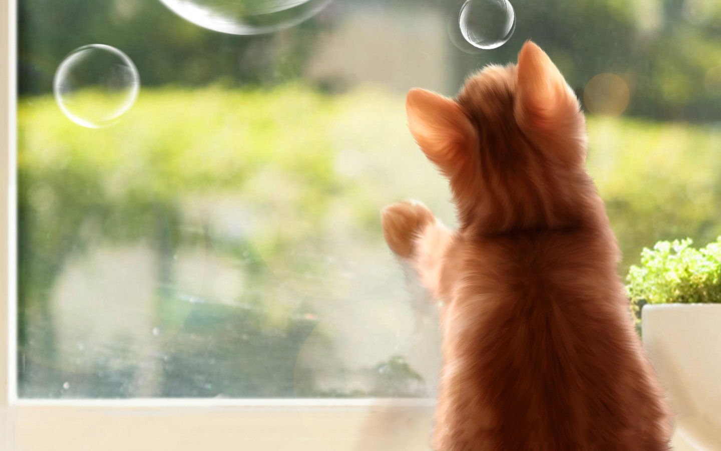 萌宠,喵星人,可爱,宠物,卖萌,猫,儿童桌面专用