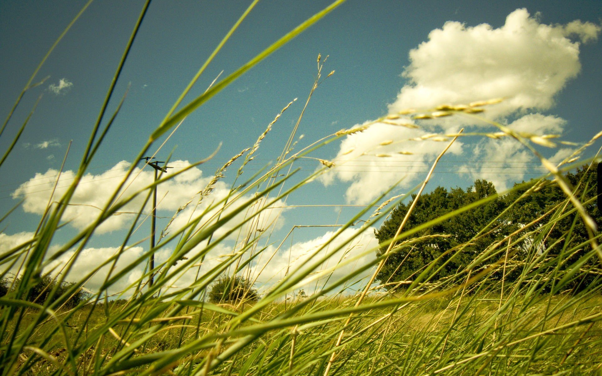 小清新,清新淡雅,1月30日,儿童桌面专用